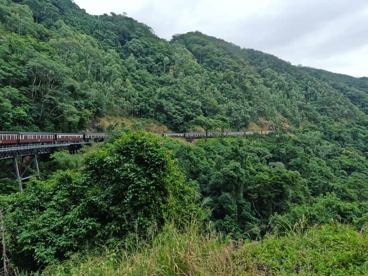 高橋美帆のインスタグラム：「#kuranda  #cairns  #kurandascenicrailway  #キュランダ  #キュランダ鉄道  #キュランダ高原列車  #ケアンズ  #ケアンズ旅行  #オーストラリア旅行  #世界の絶景  #世界の車窓から」