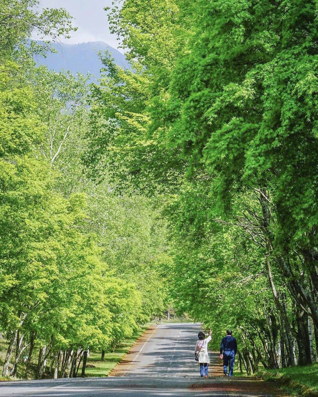 ?長野県 観光 公式インスタグラム のインスタグラム