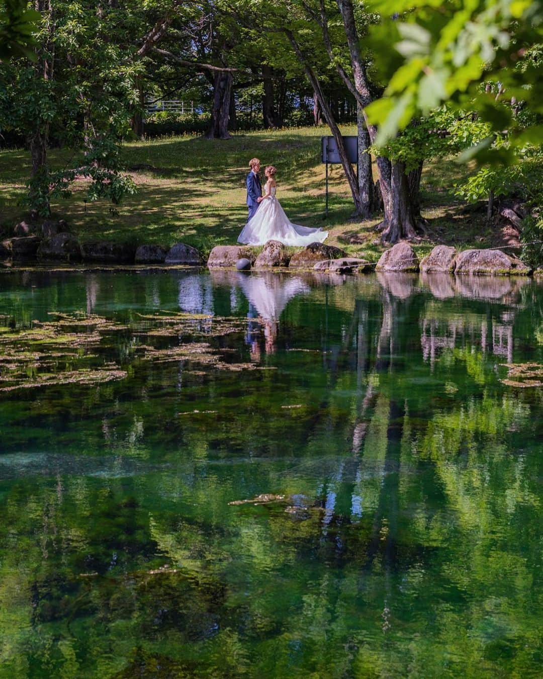 STUDIO SOLAのインスタグラム：「⁡ 【北海道の大自然で最高のフォトウェディング🌿】 ️ ここでのロケーションは北海道のならではです✨ 幻想的な写真が残せますよ💕💕  毎年大好評の 北海道スタジオSOLAが 2023年は6月〜10月で期間限定OPEN☀️  8月9月での撮影絶賛受付中♫ ⁡ 詳しくは最寄りの店舗までお電話またはメールにて お気軽にお問い合わせ下さい✨ ⁡ おかげさまでたくさんのお問い合わせ、 撮影のご予約をいただいております🙇‍♀️ お問い合わせはお早めに✨ ⁡ ⁡ デコルテ公式アカウント ▷▷ @decollte_weddingphoto ⁡ スタジオアクアSOLA ▷▷ @studiosola_hokkaido  ⁡ ⁡ #d_weddingphoto #デコルテフォト #スタジオソラ #美瑛前撮り　 #スタジオSOLA #北海道ウェディング　 #撮る結婚式 #ウェディング #ウェディングフォト #フォトウェディング #フォトスタジオ #花嫁 #プレ花嫁 #卒花嫁　 #関東花嫁 #リゾートウェディングフォト #花嫁準備 #前撮り #後撮り #結婚式 #結婚式準備  #ヘアメイク #洋装前撮り #和装前撮り #ドレス試着 #北海道前撮り  #ウェディングフェア #プレ花嫁さんと繋がりたい #全国のプレ花嫁さんと繋がりたい #日本中のプレ花嫁さんと繋がりたい」