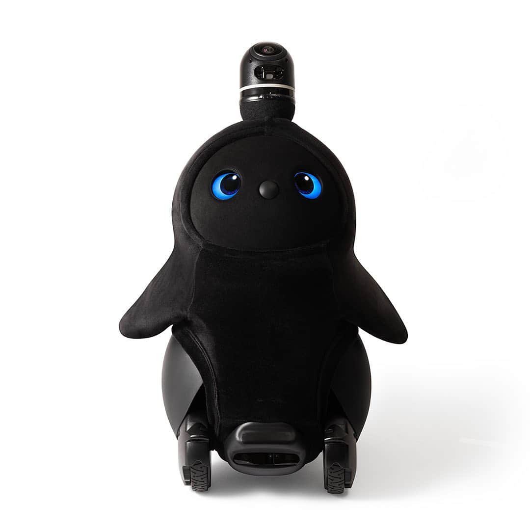 LOVOTさんのインスタグラム写真 - (LOVOTInstagram)「⠀ LOVOT本体、第3のカラーモデル『くろ』。 オールブラックの本体・ネスト、標準服も全てブラック。 ⠀ ⠀ @lovot_official  #LOVOT #らぼっと #ロボット #robot  #だんだん家族になっていくLOVOT」6月26日 17時30分 - lovot_official