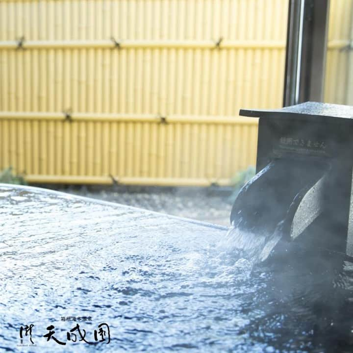 【公式】箱根湯本温泉 天成園のインスタグラム