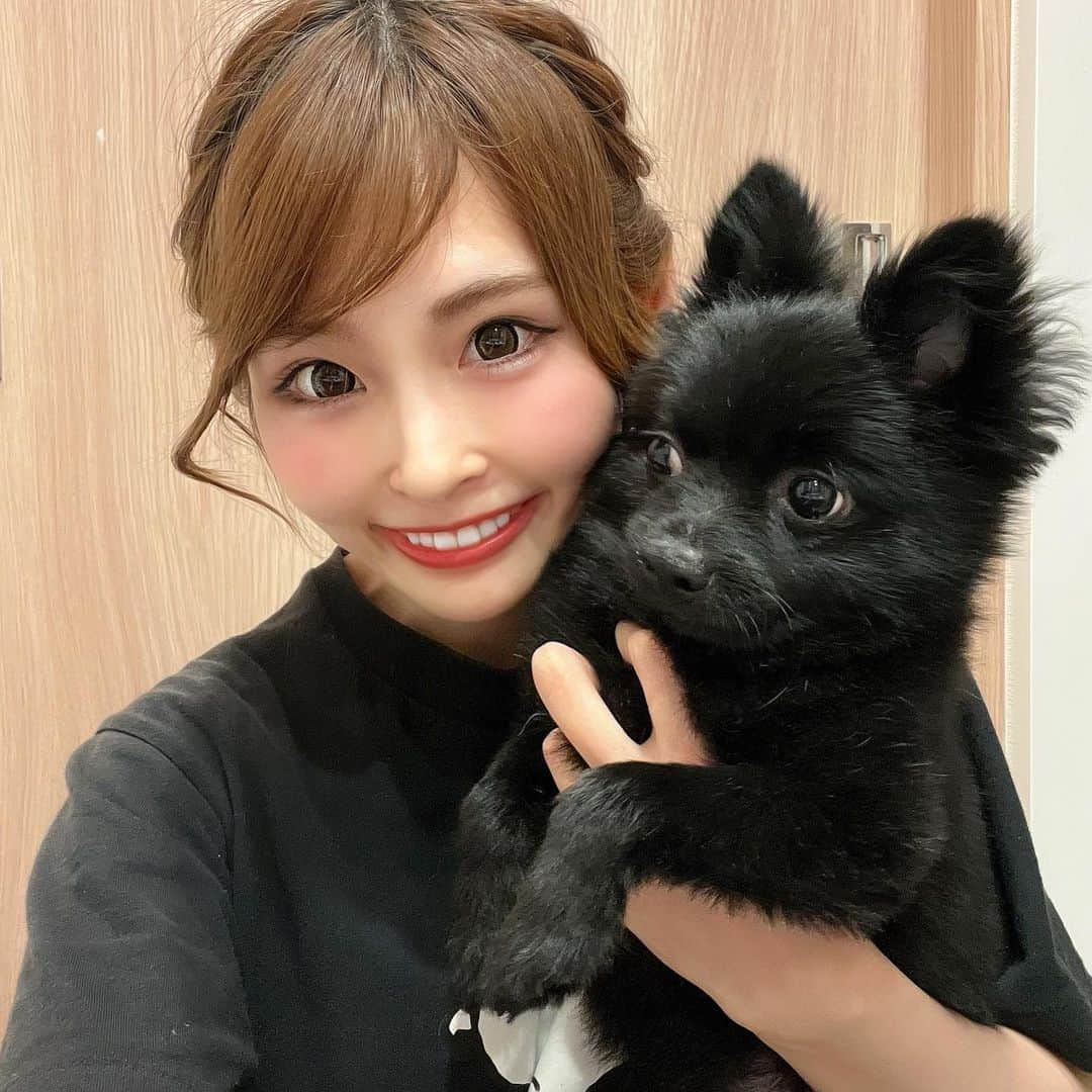 ひなぴーまるさんのインスタグラム写真 - (ひなぴーまるInstagram)「今日も暑い🤯ドッグラン行って散歩してたら手めちゃ焼けた😂3日連続ラーメン食べてるwハマった物ばかり食べてしまう癖🥸  最近変わらず肩凝り酷くてこないだ肩にラジオ派と吸引当てて肩凝りスッキリしてきた😗 PR @rise.beauty.kmt #脱毛 #脱毛蒲田 #ホワイトニング蒲田 #ホワイトニング川崎 #ホワイトニング #脱毛川崎 #美容 #全身脱毛  ピラティスとジムも体験してきました！体動かしてきたあ！ PR @aplus_gym_shibuya #渋谷ジム #韓国式ダイエット #エープラスダイエットジム #マシンピラティス #渋谷パーソナルジム #筋膜リリースダイエット」6月26日 17時50分 - hinyan33