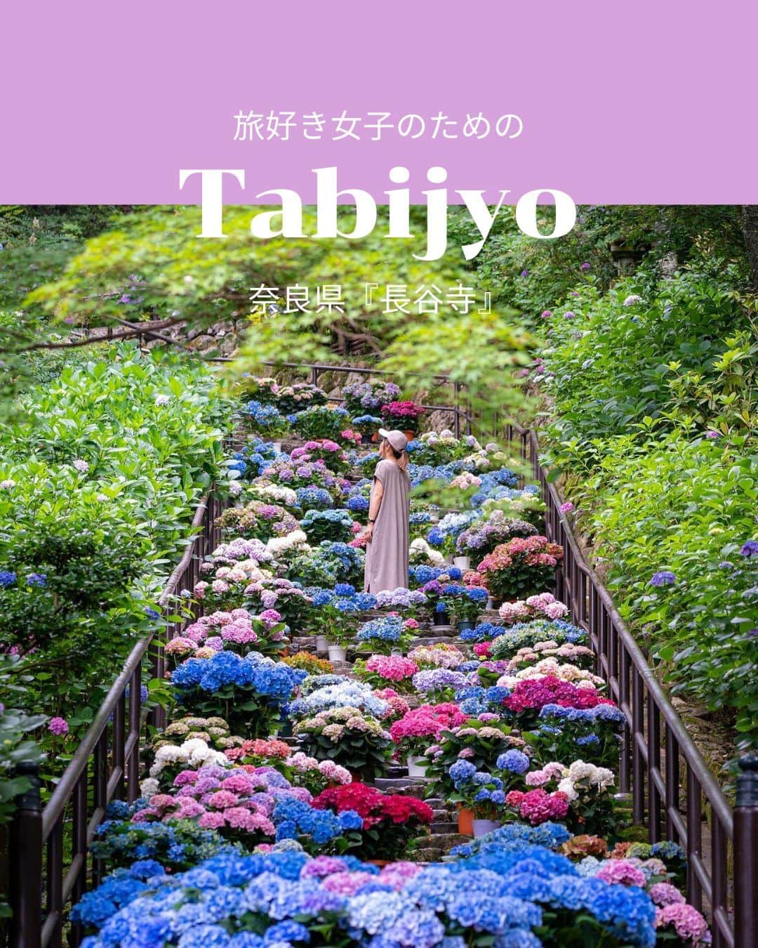 タビジョのインスタグラム：「他のスポットはここから👉@tabi_jyo  奈良県『長谷寺』 本日の #タビジョ は ／ @world.traveler.yuki さんの投稿をシェア💛💙 ＼  ☻︎☻︎✈︎✈︎✈︎✈︎✈︎✈︎✈︎✈︎✈︎✈︎☻︎☻︎  カラフルな紫陽花がかわいい奈良県の長谷寺✨ 7/9まで「大和三大観音 あぢさゐ回廊」という 紫陽花巡りのイベントも開催中です💜 緑に囲まれた境内もとても素敵な雰囲気🌿 梅雨のおでかけ候補にいかがですか？😊  ☻︎☻︎✈︎✈︎✈︎✈︎✈︎✈︎✈︎✈︎✈︎✈︎☻︎☻︎  @tabi_jyo アカウントでは旅先の新たな魅力を発信中✨ スポットや写真の撮り方の参考におすすめ💛 レポーター募集などはアカウントから配信しているよ👭 気になる方はフォローしてね🌈  #タビジョ #旅行 #tabijyo #国内旅行 #tabijyomap_japan #奈良県 #奈良旅行 #長谷寺 #紫陽花 #国内旅行 #奈良観光 #大和三大観音あぢさゐ回廊」