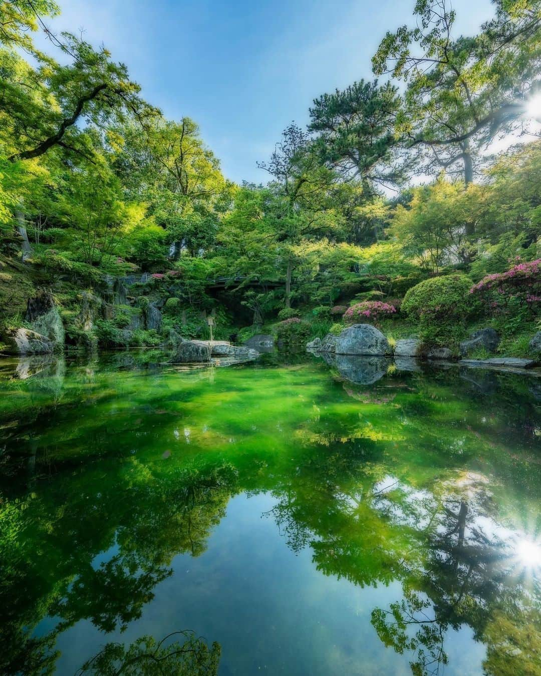 Visit Wakayamaさんのインスタグラム写真 - (Visit WakayamaInstagram)「. Although Momijidani Teien Garden is famed for its blazing fall colors, we also love its vivid summer greens! 📸 @planas1.4  📍 Momijidani Teien Garden, Wakayama . . . . . #discoverjapan #unknownjapan #instajapan #landscape #japan #japantrip #japantravel #beautifuldestinations #wakayama #wakayamagram #explore #adventure #visitwakayama #travelsoon #visitjapan #travelgram #stayadventurous #igpassport #explorejapan #lonelyplanet #sustainabletravel #bucketlist #roadslesstraveled #summerinjapan #summerbreak #summervaycay #momiji #momijidaniteien #japanesegardens #summergreens」6月26日 18時01分 - visitwakayama