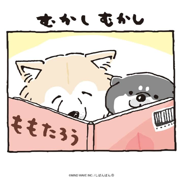 オオゴシヤステルのインスタグラム：「🟠第204話🟠  むかしむかし  【過去マンガはこちら】 👉 #しばんばんまんが  #今日のしばんばん #しばんばん #shibanban #むちころばんばん #muchicorobanban #微笑柴犬 #マインドウェイブ #mindwave #オオゴシヤステル #柴犬 #しばいぬ #shibainu #桃太郎」