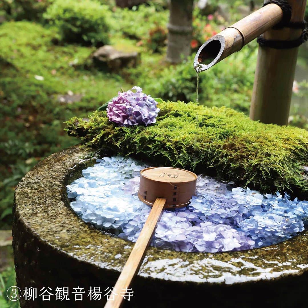 竹本萌瑛子さんのインスタグラム写真 - (竹本萌瑛子Instagram)「【京都旅した】  京都府観光連盟のキャンペーン「わたしの理想の京都旅 - 京都西山 -」のモデルを担当しました！  京都旅行、これまでに何度か経験があるのですが、今回めぐった2つのプランは全部初体験🫶🏻  まだあまり知られていない穴場スポットたくさんなので「京都旅行は経験済み」の人にこそ行ってほしい！  🍬あじさいプラン🍬  ①善峯寺(ヨシミネデラ） 約八千株のあじさいが彩る斜面は圧巻。ここは個人的に最推しスポット！  ② Shop & Gallery 竹生園(チクブエン） 竹製の貴重な雑貨が手に入ります！  ③ 柳谷観音楊谷寺 (ヤナギダニカンノンヨウコクジ) 花手水発祥の地でもあるお寺。あじさいのイラストをあしらった傘がかわいい！  ④ アサヒグループ大山崎山荘美術館(オオヤマザキサンソウビジュツカン） 貴重な建築やコレクション展示が楽しめます。広大なお庭を歩くだけでも癒される…… （※現在美術館は休館中だそうです。訪れる際はHPでご確認ください。）  ⑤ Relish食堂(レリッシュショクドウ） 体に優しく、おいしい食事が味わえるオーガニックカフェ！近所にあったら通いたいくらい。  2つ目のプラン「青もみじプラン」は次の投稿で紹介します▶︎▶︎▶︎  どっちの京都旅をしてみたいか、２つのプランをぜひ見比べてみてくださいね🌿  それから、  京都府観光連盟公式アカウント( @discover_your_own_kyoto )をフォローして、お気に入りの旅プラン動画の投稿にイイネすると、「ホテル京都エミナース」の宿泊券が当たるので、ぜひ投票してみてください〜🔥  #わたしの理想の京都旅 #きょうと魅力再発見旅 #discoveryourkyoto #京都西山 #竹の里 #乙訓 #あじさい #青もみじ #京都観光 #京都旅行 #京都散策 #京都府観光連盟 #キャンペーン実施中 #PR #善峯寺 #竹生園 #柳谷観音楊谷寺 #大山崎山荘美術館 #Relish食堂」6月26日 18時25分 - moeko_takemoto