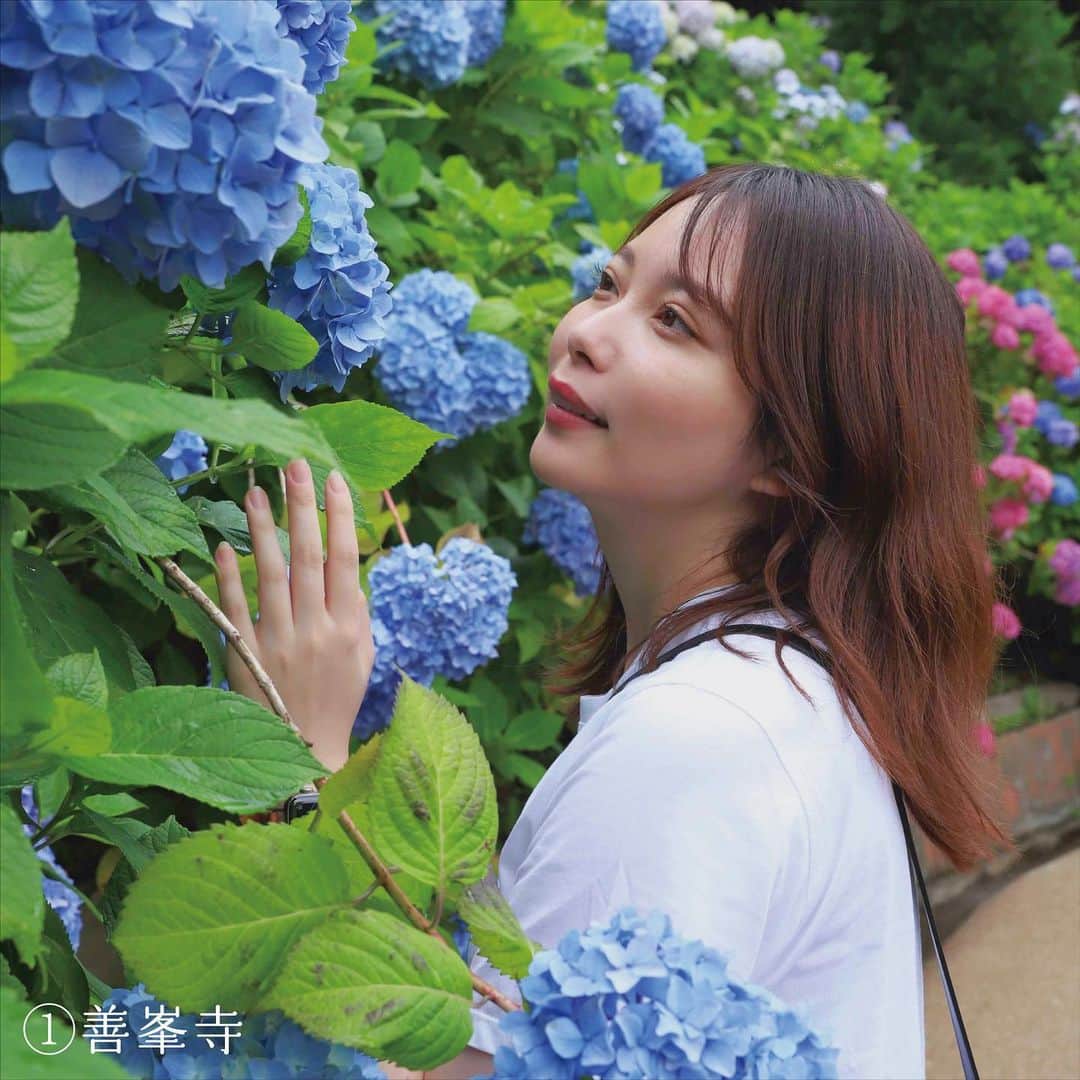 竹本萌瑛子さんのインスタグラム写真 - (竹本萌瑛子Instagram)「【京都旅した】  京都府観光連盟のキャンペーン「わたしの理想の京都旅 - 京都西山 -」のモデルを担当しました！  京都旅行、これまでに何度か経験があるのですが、今回めぐった2つのプランは全部初体験🫶🏻  まだあまり知られていない穴場スポットたくさんなので「京都旅行は経験済み」の人にこそ行ってほしい！  🍬あじさいプラン🍬  ①善峯寺(ヨシミネデラ） 約八千株のあじさいが彩る斜面は圧巻。ここは個人的に最推しスポット！  ② Shop & Gallery 竹生園(チクブエン） 竹製の貴重な雑貨が手に入ります！  ③ 柳谷観音楊谷寺 (ヤナギダニカンノンヨウコクジ) 花手水発祥の地でもあるお寺。あじさいのイラストをあしらった傘がかわいい！  ④ アサヒグループ大山崎山荘美術館(オオヤマザキサンソウビジュツカン） 貴重な建築やコレクション展示が楽しめます。広大なお庭を歩くだけでも癒される…… （※現在美術館は休館中だそうです。訪れる際はHPでご確認ください。）  ⑤ Relish食堂(レリッシュショクドウ） 体に優しく、おいしい食事が味わえるオーガニックカフェ！近所にあったら通いたいくらい。  2つ目のプラン「青もみじプラン」は次の投稿で紹介します▶︎▶︎▶︎  どっちの京都旅をしてみたいか、２つのプランをぜひ見比べてみてくださいね🌿  それから、  京都府観光連盟公式アカウント( @discover_your_own_kyoto )をフォローして、お気に入りの旅プラン動画の投稿にイイネすると、「ホテル京都エミナース」の宿泊券が当たるので、ぜひ投票してみてください〜🔥  #わたしの理想の京都旅 #きょうと魅力再発見旅 #discoveryourkyoto #京都西山 #竹の里 #乙訓 #あじさい #青もみじ #京都観光 #京都旅行 #京都散策 #京都府観光連盟 #キャンペーン実施中 #PR #善峯寺 #竹生園 #柳谷観音楊谷寺 #大山崎山荘美術館 #Relish食堂」6月26日 18時25分 - moeko_takemoto