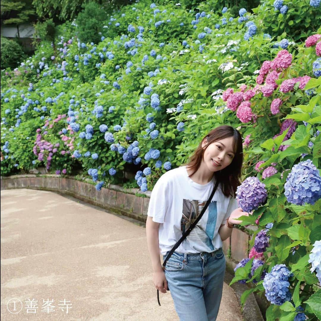 竹本萌瑛子さんのインスタグラム写真 - (竹本萌瑛子Instagram)「【京都旅した】  京都府観光連盟のキャンペーン「わたしの理想の京都旅 - 京都西山 -」のモデルを担当しました！  京都旅行、これまでに何度か経験があるのですが、今回めぐった2つのプランは全部初体験🫶🏻  まだあまり知られていない穴場スポットたくさんなので「京都旅行は経験済み」の人にこそ行ってほしい！  🍬あじさいプラン🍬  ①善峯寺(ヨシミネデラ） 約八千株のあじさいが彩る斜面は圧巻。ここは個人的に最推しスポット！  ② Shop & Gallery 竹生園(チクブエン） 竹製の貴重な雑貨が手に入ります！  ③ 柳谷観音楊谷寺 (ヤナギダニカンノンヨウコクジ) 花手水発祥の地でもあるお寺。あじさいのイラストをあしらった傘がかわいい！  ④ アサヒグループ大山崎山荘美術館(オオヤマザキサンソウビジュツカン） 貴重な建築やコレクション展示が楽しめます。広大なお庭を歩くだけでも癒される…… （※現在美術館は休館中だそうです。訪れる際はHPでご確認ください。）  ⑤ Relish食堂(レリッシュショクドウ） 体に優しく、おいしい食事が味わえるオーガニックカフェ！近所にあったら通いたいくらい。  2つ目のプラン「青もみじプラン」は次の投稿で紹介します▶︎▶︎▶︎  どっちの京都旅をしてみたいか、２つのプランをぜひ見比べてみてくださいね🌿  それから、  京都府観光連盟公式アカウント( @discover_your_own_kyoto )をフォローして、お気に入りの旅プラン動画の投稿にイイネすると、「ホテル京都エミナース」の宿泊券が当たるので、ぜひ投票してみてください〜🔥  #わたしの理想の京都旅 #きょうと魅力再発見旅 #discoveryourkyoto #京都西山 #竹の里 #乙訓 #あじさい #青もみじ #京都観光 #京都旅行 #京都散策 #京都府観光連盟 #キャンペーン実施中 #PR #善峯寺 #竹生園 #柳谷観音楊谷寺 #大山崎山荘美術館 #Relish食堂」6月26日 18時25分 - moeko_takemoto