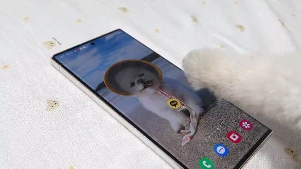 thesoy_yoonsoのインスタグラム