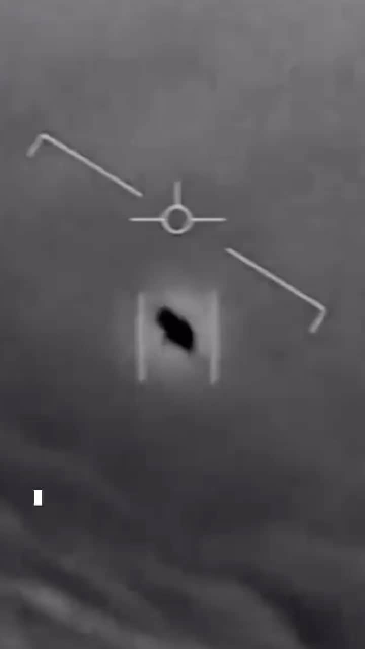 シェパードのインスタグラム：「You will not believe this!!! 👽」