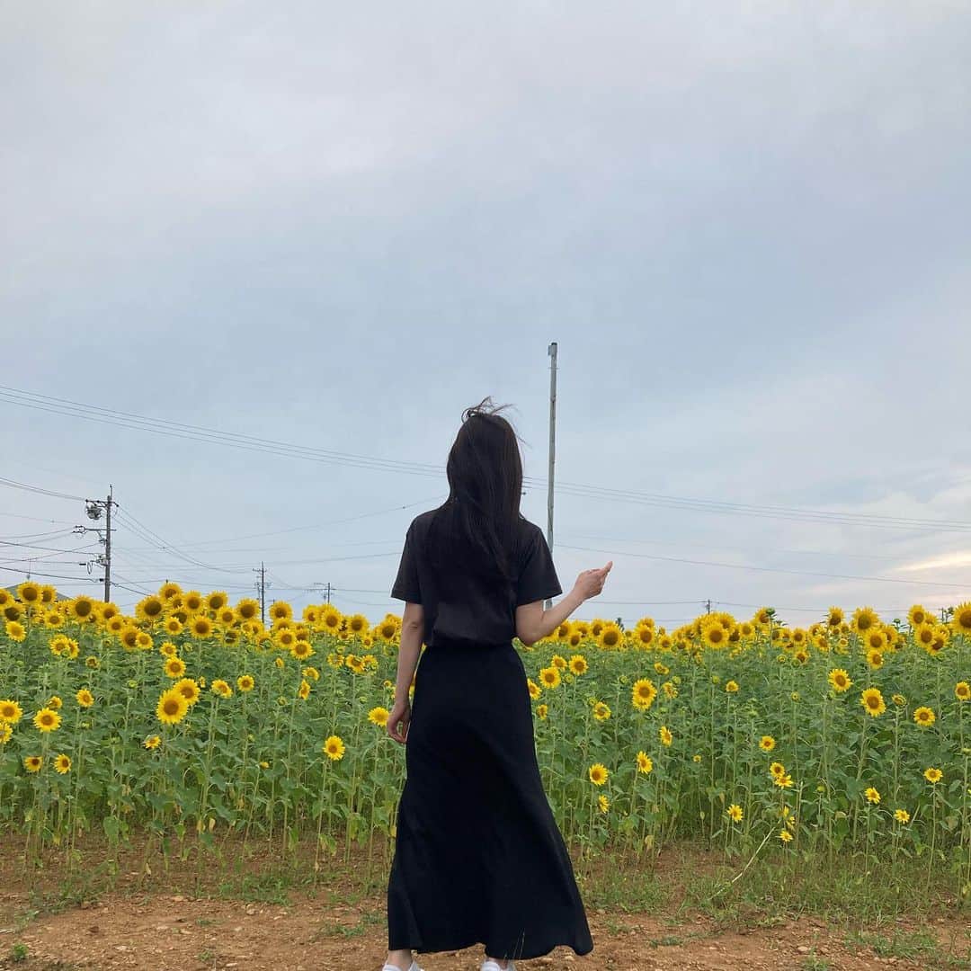 夏目志乃のインスタグラム：「ちとはやい向日葵」
