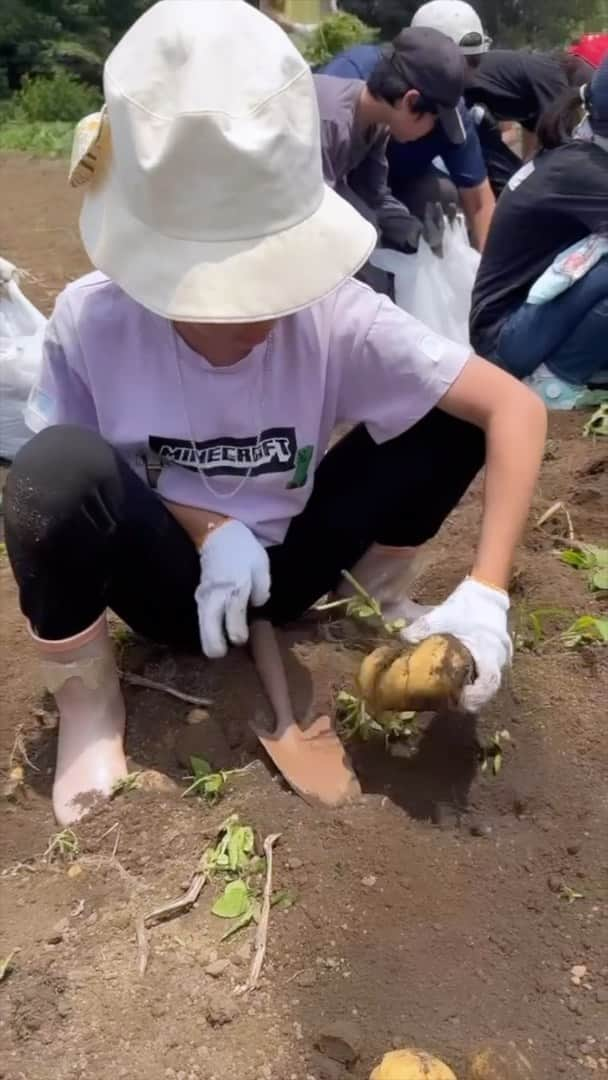 ochikeronのインスタグラム：「Potato Digging じゃがいも掘り 🥔 Potato recipes @ochikeron 👍🏻」