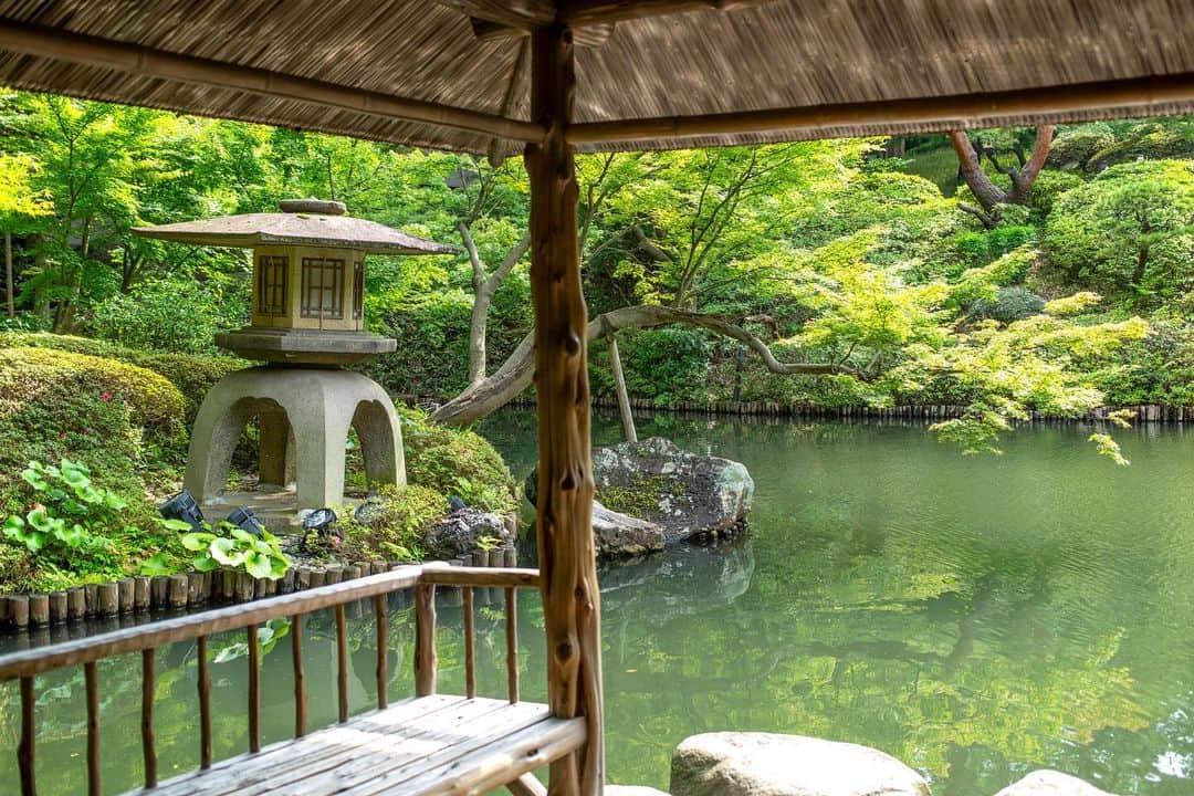 八芳園のインスタグラム：「穏やかな晴れ間が広がる午後の日本庭園。 夏が深まるにつれて、草木が青々と茂っていきます。  梅雨の期間の晴れ間のことは「五月晴れ」というそう。  「五月晴れ」の「五月」は旧暦の５月を指すため、 もともとは梅雨の中休みのことを指す言葉でした。  五月晴れの柔らかな陽に包まれる日本庭園を、 ぜひ散策してみてください。  🍃🍃🍃  #八芳園 #結婚式場 #日本庭園 #紫陽花  #happoen #初夏を楽しむフォトコンテスト2023  #紫陽花 #flowerstagram #flower_daily #はなまっぷ #私の花の写真 #日本の四季  #二十四節気 #カメラ部 #写真好きな人と繋がりたい #東京カメラ部 #その瞬間に物語を #風景写真 #日本家屋  #japanesegarden #japan_of_insta #japaneseculture #jp_views #special_spot #tokyo #japan_daytime_view #ig_jp #japanoinsta #japantravel #tokyotrip」