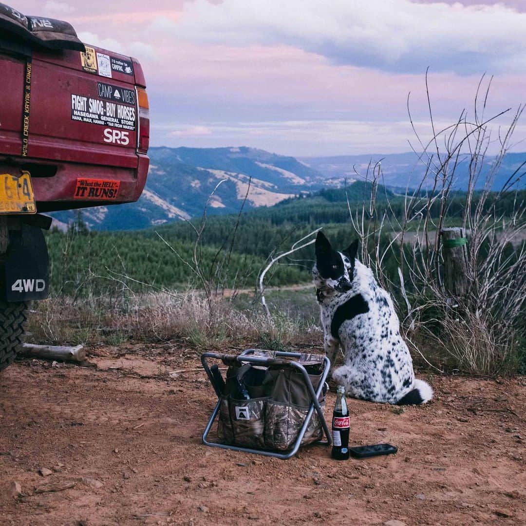 Poler Outdoor Stuffのインスタグラム：「Fishing, gardening or outdoor concerts - Do it all with the new multi-purpose utility stool by @polerjapan   Available in multiple color ways. Only available in-store.   #campvibes #fishgearing」