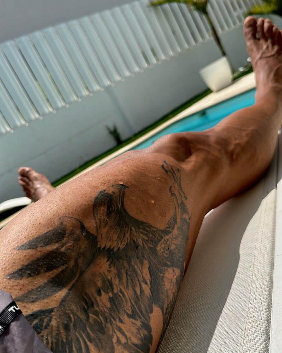 Sergi Constanceのインスタグラム：「El águila no huye de la tormenta el águila utiliza la tormenta usando sus alas para elevarse por encima🦅  #BeLegend #circunstanciaoproblema」