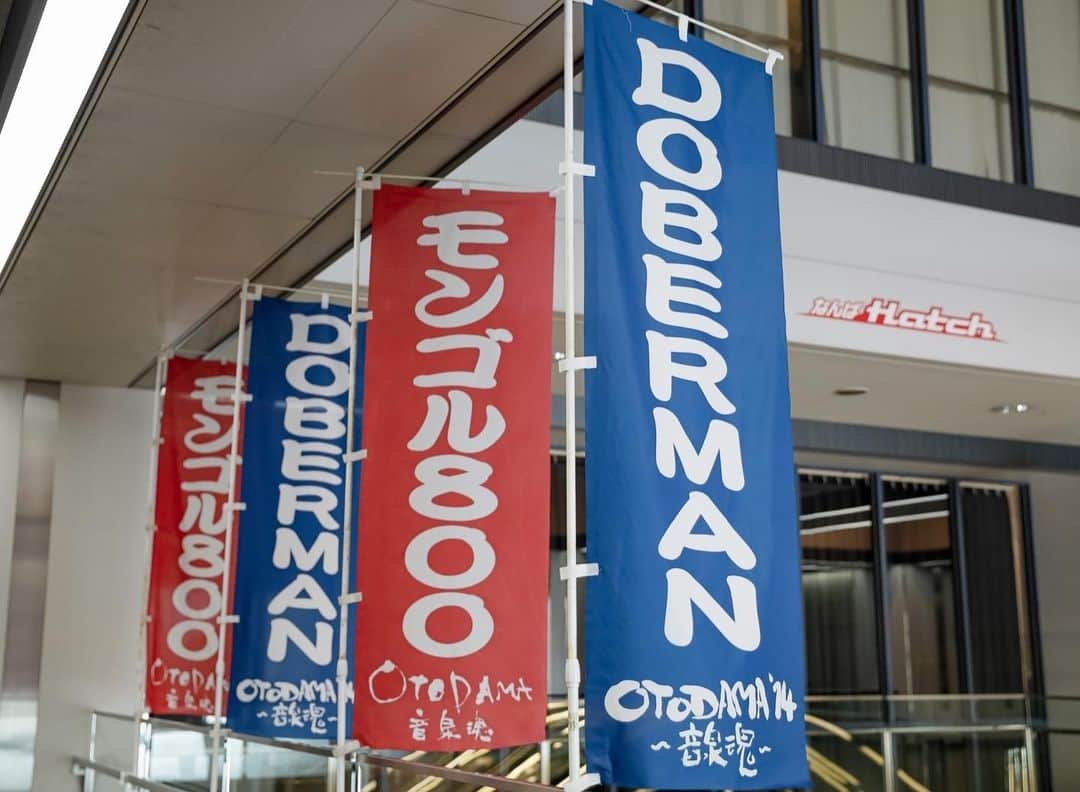 シーサーさんのインスタグラム写真 - (シーサーInstagram)「． ． WWW!!TOUR2023 今ツアーもモンパチ 全力サポートさせてもらいます🔥🎷🎸🕺🎺  初日からサイコウな声&笑顔！  そして1日で贅沢にもDOBERMANとモンパチ 2ステージも立たせてもらえて心の充電満タン◎ タノシイがすぎた〜  明日は香川県festhalle 明日もパーティーしようぜぃ！ ピス！  📸 @saru_0305 1〜4 6〜10  #MONGOL800 #モンパチ #モンパチ25th #ワッターツアー #おじさんたちと踊ろう」6月26日 21時13分 - __seasir__
