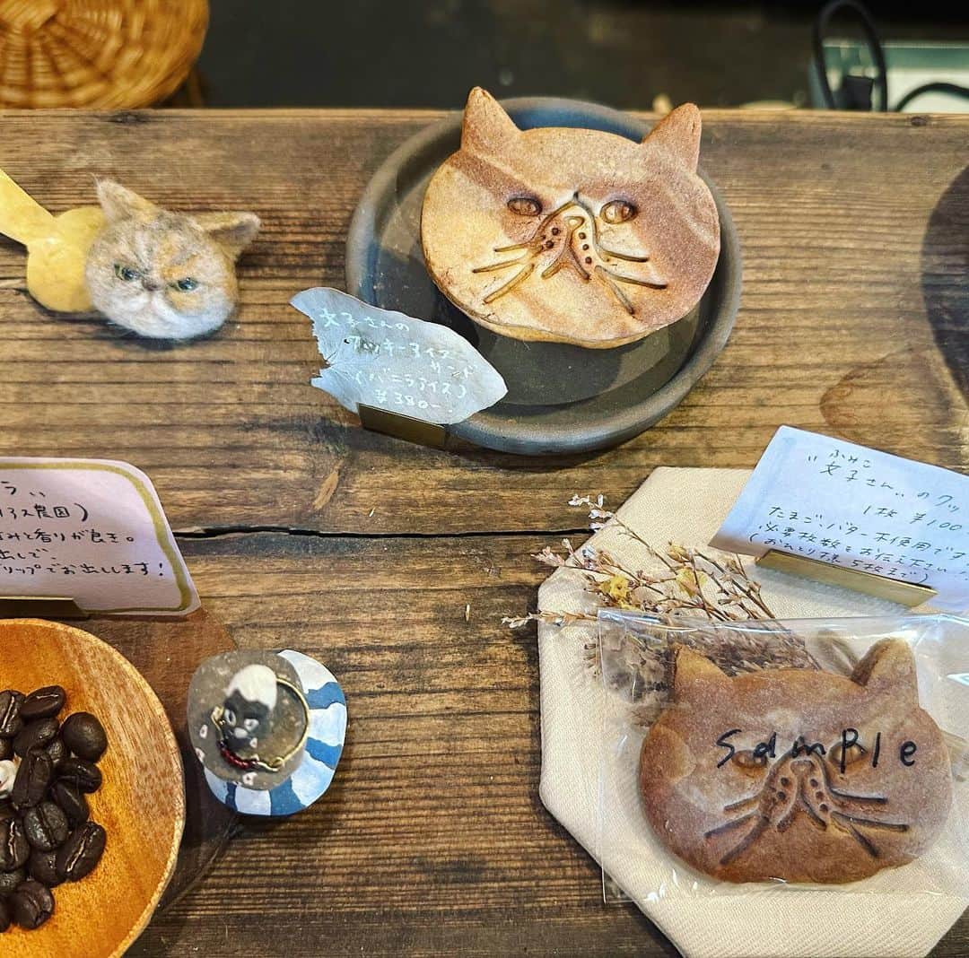 ナカイシミキさんのインスタグラム写真 - (ナカイシミキInstagram)「@_hibi.coffee_   実家に帰ると #カフェ活   コーヒー好きだからコーヒー巡り☕️  😺のクッキーにも一目惚れ コーヒーと夏のかんきつアイスティー  クッキーお腹いっぱいでアイスしかないと思って買わなかったけど 買えばよかった🥹  中もカワイイし 目の前に線路🛤️  線路の周りに生えた🌱たちっぽ(小学生の時よく食べてた食べれる草的な)に震えた🫨  #尾道　#尾道カフェ　#尾道観光 #尾道グルメ #カフェ巡り #coffeetime #coffee #onomichi #尾道散歩 #尾道市 #広島カフェ #広島 #hiroshima」6月26日 21時13分 - mikivicious