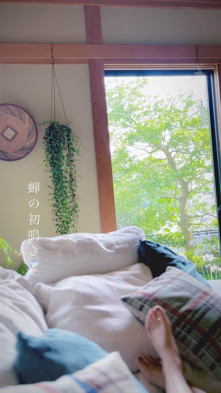 村上萌のインスタグラム：「(自分観測上)蝉の初鳴きの日。昼休みに少しソファに転がって、蝉の声と時折風でそよぐ風鈴があまりにも心地よくて動画を撮り始めたら、蝉が鳴き止んで強風が吹いて風鈴が割れそうなくらい鳴り出した😇 そうじゃないと思いつつも、毎日投稿を掲げてみると、こんなとりとめもない瞬間も気兼ねなく残せる。清少納言だってきっと、後世に残るすごいものを綴ろうと思ったのではなく自然と毎日にある「をかし」の瞬間を残したのだろうし、良しとします🥹(割れそうな風鈴でないことは確かだけど🎐)去年も大雨と初鳴きがセットの6月26日でした。   #暮らしの微調整」