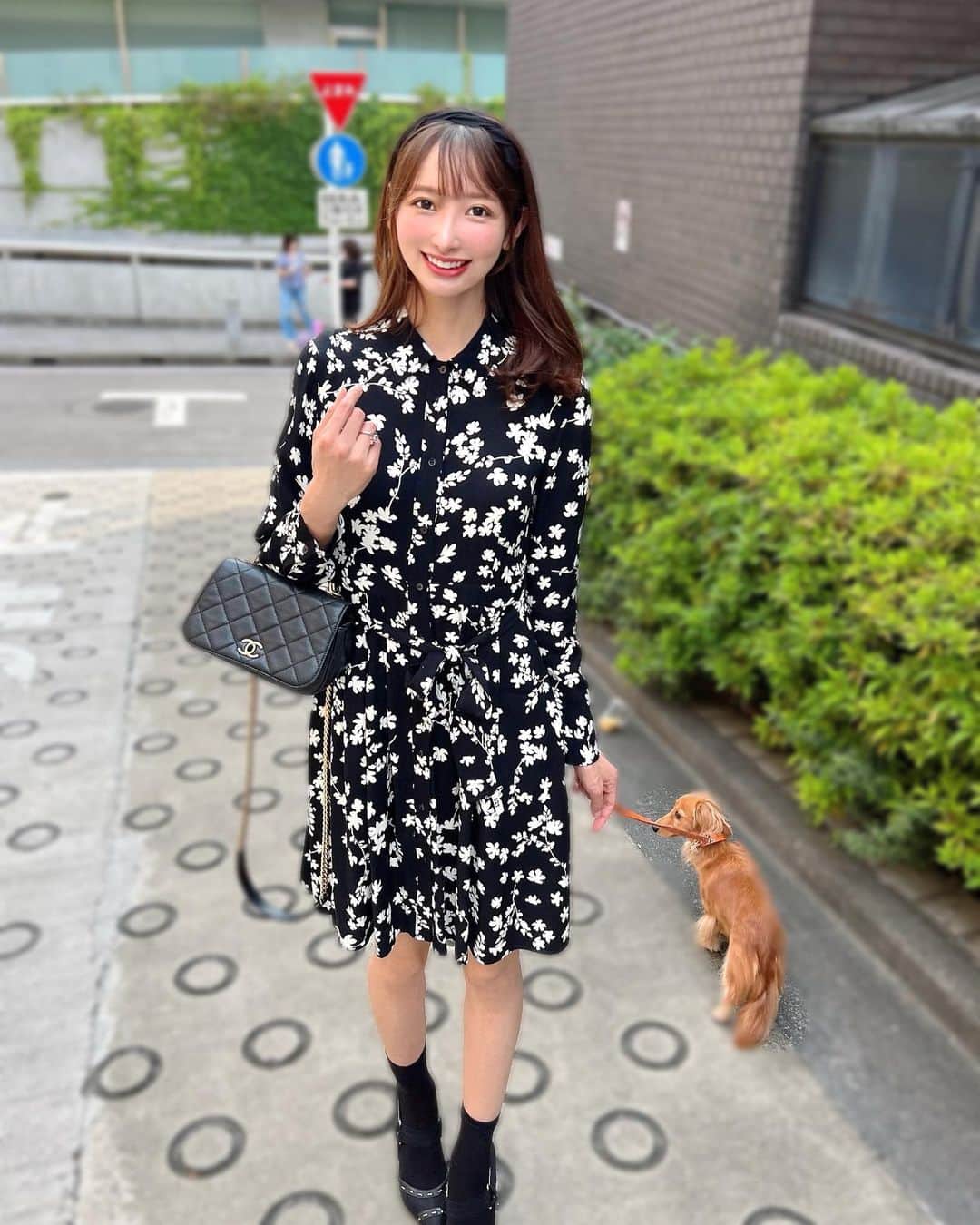 ゴルファーなつのインスタグラム：「オンからのオフ🐾(🐶の寝相w) 今日は仕事仲間でご飯だったのだけどサプライズでお祝いしてもらって幸せだった🎂先輩の愛娘のみーちゃんにも癒された。手作りケーキありがとう🥰」