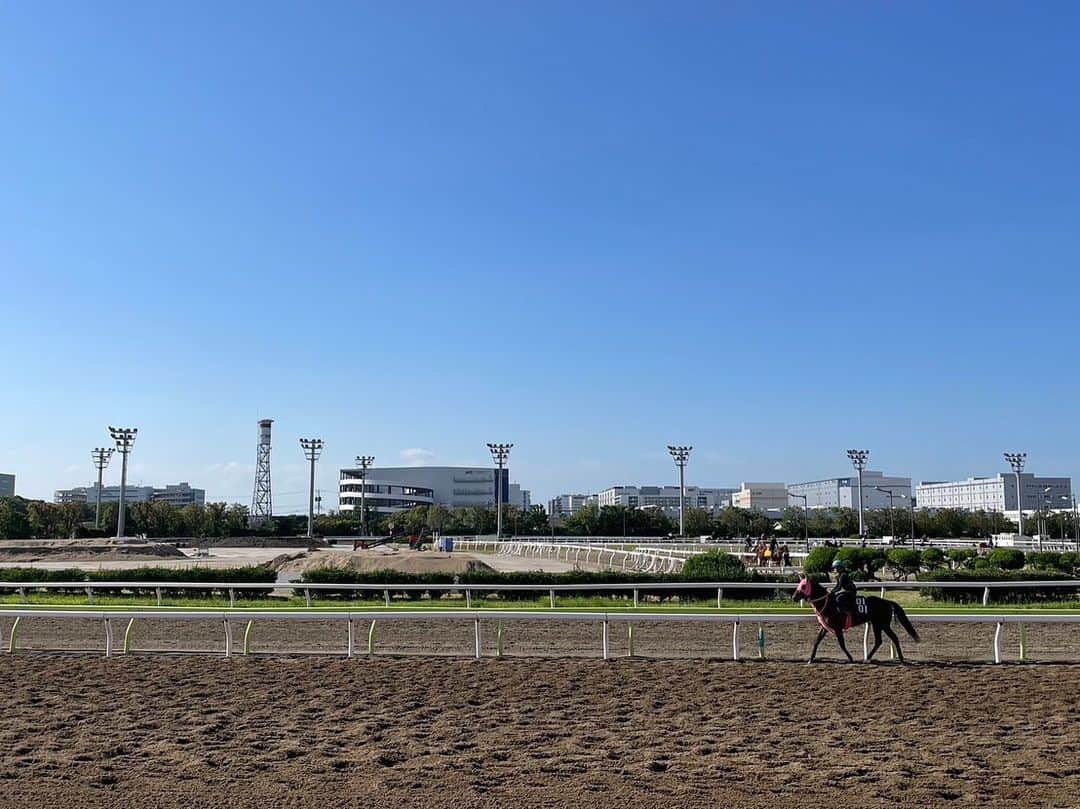 古川奈穂のインスタグラム：「土曜日、日曜日ともに函館競馬場で騎乗させて頂きました。 乗せてくださった関係者の皆様、応援してくださった皆様、ありがとうございました。  5/15〜6/4まで大井競馬場で調教に騎乗させていただいていました。 期間中、沢山の方にお世話になりとても充実した時間を過ごす事ができました。  ありがとうございました！  #大井競馬場   #函館競馬場  #函館   https://www.youtube.com/watch?v=L73oBlgb3p4」
