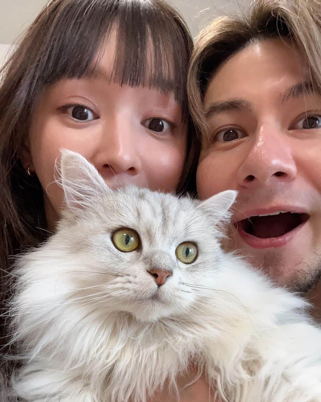 JOYのインスタグラム：「今日６月２６日は結婚記念日💍✨ 麻衣ちゃんと結婚して4年だー！ 早い、、とにかく早い😭✨ 麻衣ちゃんの女性として、そして母としての素晴らしさに気付かされ続ける毎日を送ってるし、誰よりも尊敬してます！本当に本当に最高の妻です☺️ 愛してやまないよぉぉぉ！！😭  １枚目をびょーちゃんとの３ショットにしたのは、びょーちゃんは結婚前から僕ら２人の恋愛を見守ってきたからです😼 びょーちゃんなくしていまのぼくらはいないんです！！😁 ３枚目の写真は麻衣ちゃんと付き合い始めた頃初めて一緒にディズニー行った時の！ 俺はめっちゃ両想いだと思ってたけど、麻衣ちゃんは俺の事まだそんなに好きじゃなかったらしい。笑 （麻衣ちゃんは告白を断ったつもりだったのに俺の勘違いでOKされたと思ってたの♪てへへ✨） 確かに、サングラスの向こうの目が若干死んでるよハニー？✨  でもそんな２人が今一緒に人生を歩んでるっていうのが大切な事だよね！！ これからもJOY、麻衣、はーちゃん、びょーちゃんっていう最強の家族で突き進んで行くぞぉぉ！！ 直接も伝えたけど、改めていつもありがとう麻衣ちゃん☺️ これからもよろしくね✨  #結婚記念日 #夫婦 #常に感謝と尊敬 #幸せをありがとう」