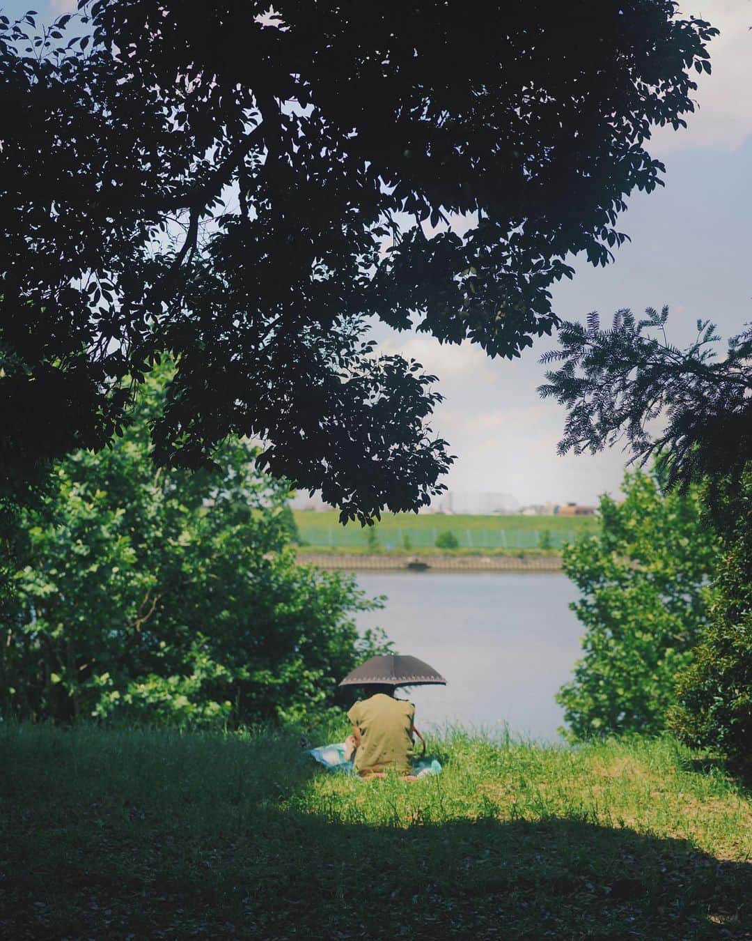 ima_ju / Jun Iのインスタグラム：「: : One Sunny Day : : ::」