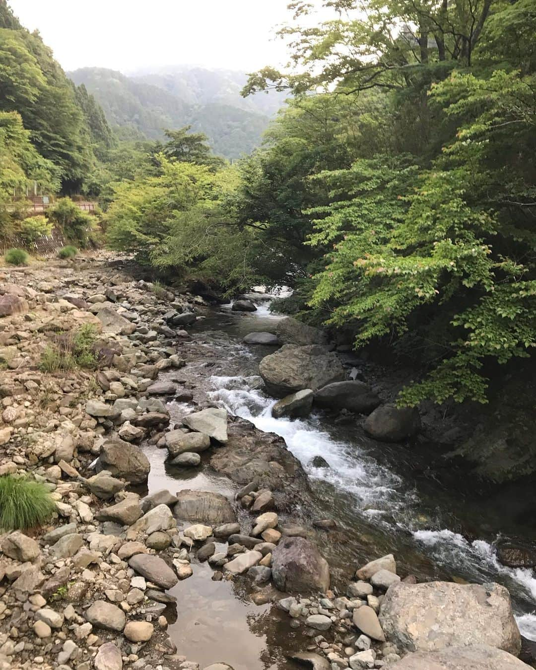 桑山哲也さんのインスタグラム写真 - (桑山哲也Instagram)「レコーディングが終わって おっ！まだ明るいし、梅雨の合間の天気だし！ という訳で急遽1人プチツーリング♫  今回はネットで関東日帰りツーリングを検査して、それを参考に、秦野中井インターを降りて、ヤビツ峠を経由して、道志村を目指すというコース。  イビツ峠も道志村も初めて(о´∀`о)  イビツ峠は行きは良い良い、 がしかし！ 下り道から道志までは車1台がやっとという狭い山道が永遠と(￣▽￣;)  休憩して迷子になっていないか色々とネットで検索したらこの辺り 夜は有名な心霊スポットらしい。👻 ぎゃー❗️ ヤバイヤバイ だんだん薄暗くなってきた💦 ヤバイ！ヤバイ！ 先を急いで何とか 道志村に着いた頃には真っ暗だった。  景色も何も見えないし、小さな虫が沢山飛んでるし（−＿−；）  山中湖を経由して富士五湖道路に出て、御殿場経由で東名高速で帰宅♫  富士山の辺りは気温10度🥶 ウィンドブレーカー持ってて良かった👍  本日の走行距離は270キロ ぜんぜんプチツーリングじゃないか💦  そんなオイラのライブは 9月10日(日) 南青山マンダラにて 16時開演  『桑山哲也　ザ・バンド』 チケット欲しい！ 予約したい！ という方はDM下さいね(^^)/  #桑山哲也 #ボタンアコーディオン #藤田朋子 #アコーディナ #南青山マンダラ　#z900rs #プチツーリング」6月26日 22時46分 - monmalutolu