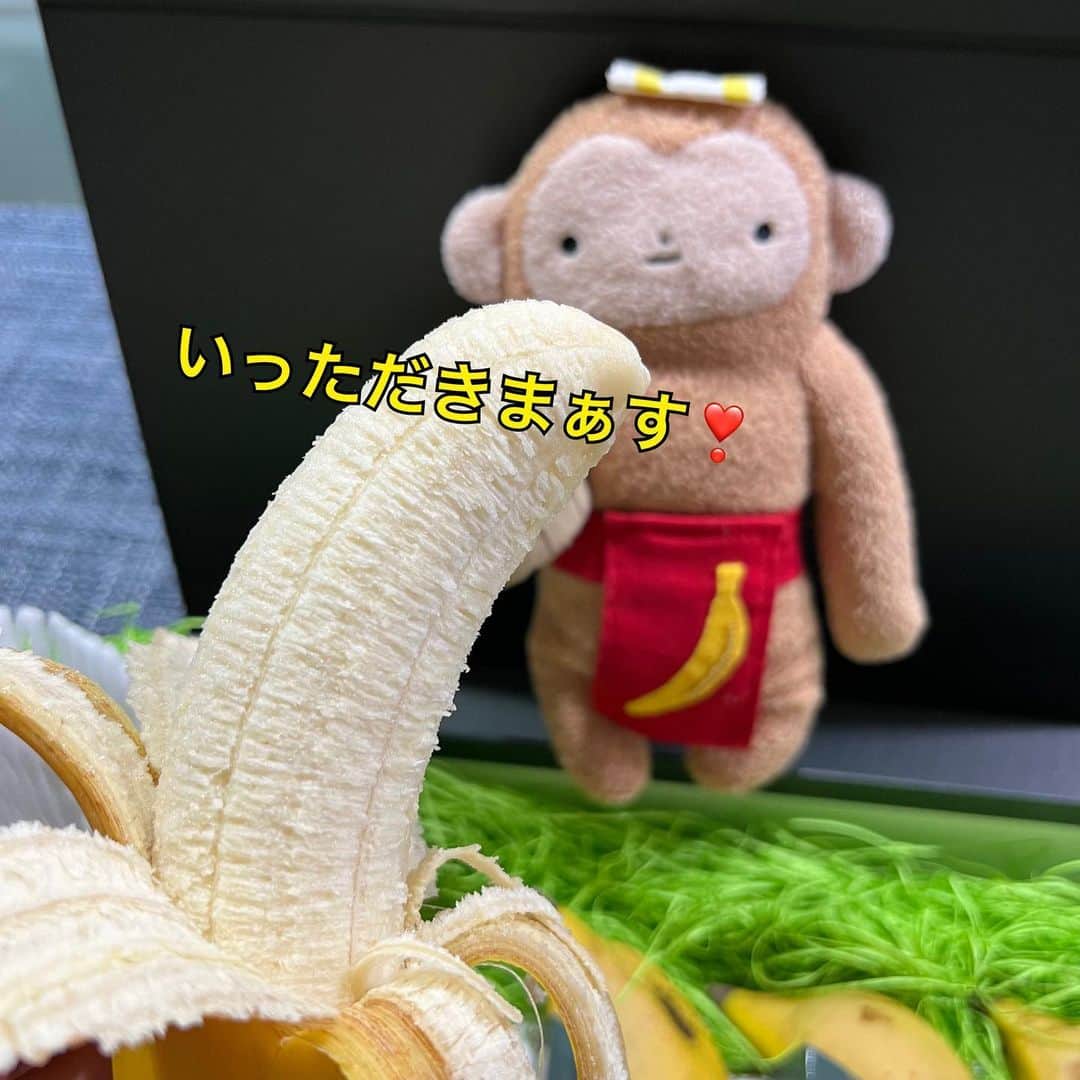 江口ともみさんのインスタグラム写真 - (江口ともみInstagram)「もん吉だよ‼️🐒  立派な高級なバナナ届いたよ✨  やっぱりボクがまず食べないとだよね🍌😆美味しかったよぉ  こんなバナナがあるんだね✨ ありがとーございましたー❣️  #fumofumosan #フモフモさん #もん吉#バナナ #はれのひはれバナナ  #harenohiharebanana #岐阜県」6月26日 22時55分 - tomomin.eguchi