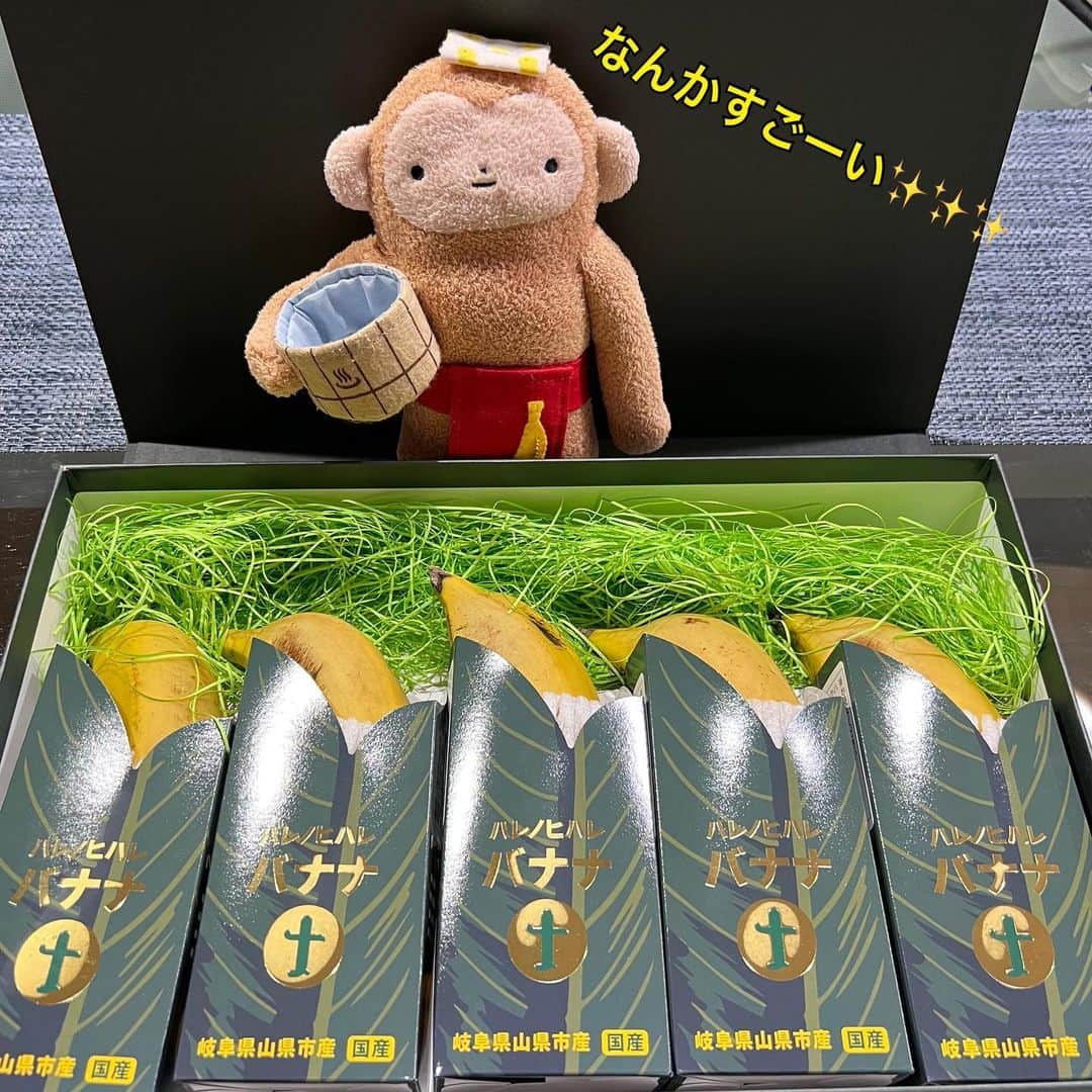 江口ともみさんのインスタグラム写真 - (江口ともみInstagram)「もん吉だよ‼️🐒  立派な高級なバナナ届いたよ✨  やっぱりボクがまず食べないとだよね🍌😆美味しかったよぉ  こんなバナナがあるんだね✨ ありがとーございましたー❣️  #fumofumosan #フモフモさん #もん吉#バナナ #はれのひはれバナナ  #harenohiharebanana #岐阜県」6月26日 22時55分 - tomomin.eguchi