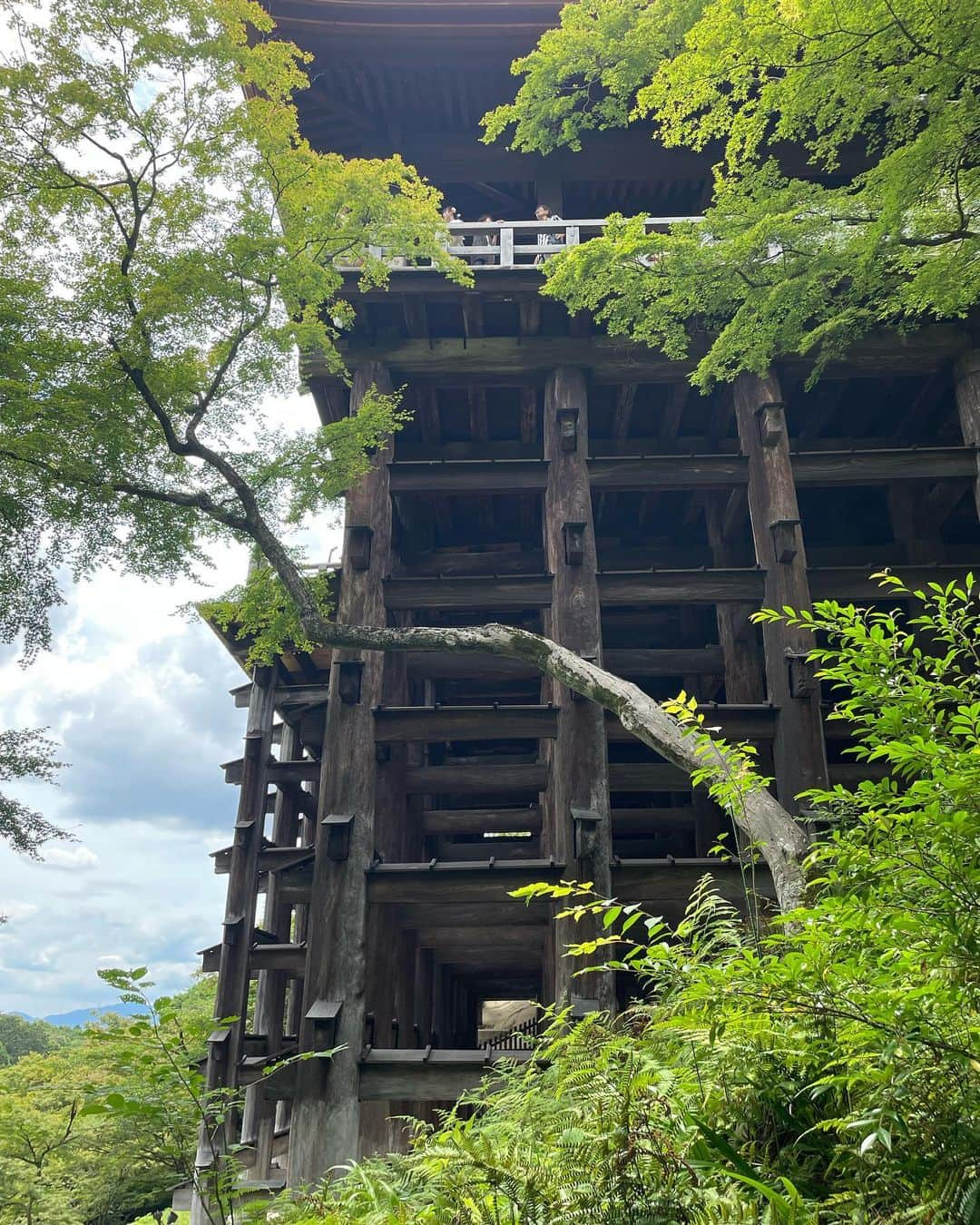 塩田真弓さんのインスタグラム写真 - (塩田真弓Instagram)「Green Green! デトックスな週末でした 古都のGreen🌿が眩しく✨ 王道のスポットは久しぶりで懐かしく 新たな発見が沢山💡 定番グルメも安定の美味しさ 発見グルメはスイカ、キウイ、マンゴーのフルーツサンド🍉🥝🥭 ふ〜と深呼吸したら デトックス完了の写真に🧚🏻  いつも秒で過ぎる週末ですが 長い1日x2で心に残る時間でした  #ADELLY  #京都 #Kyoto #嵐山 #Arashiyama #清水寺 #kiyomizutemple #そういえば抹茶スイーツの嵐というグリーンも」6月26日 23時53分 - mayumi_shiota_