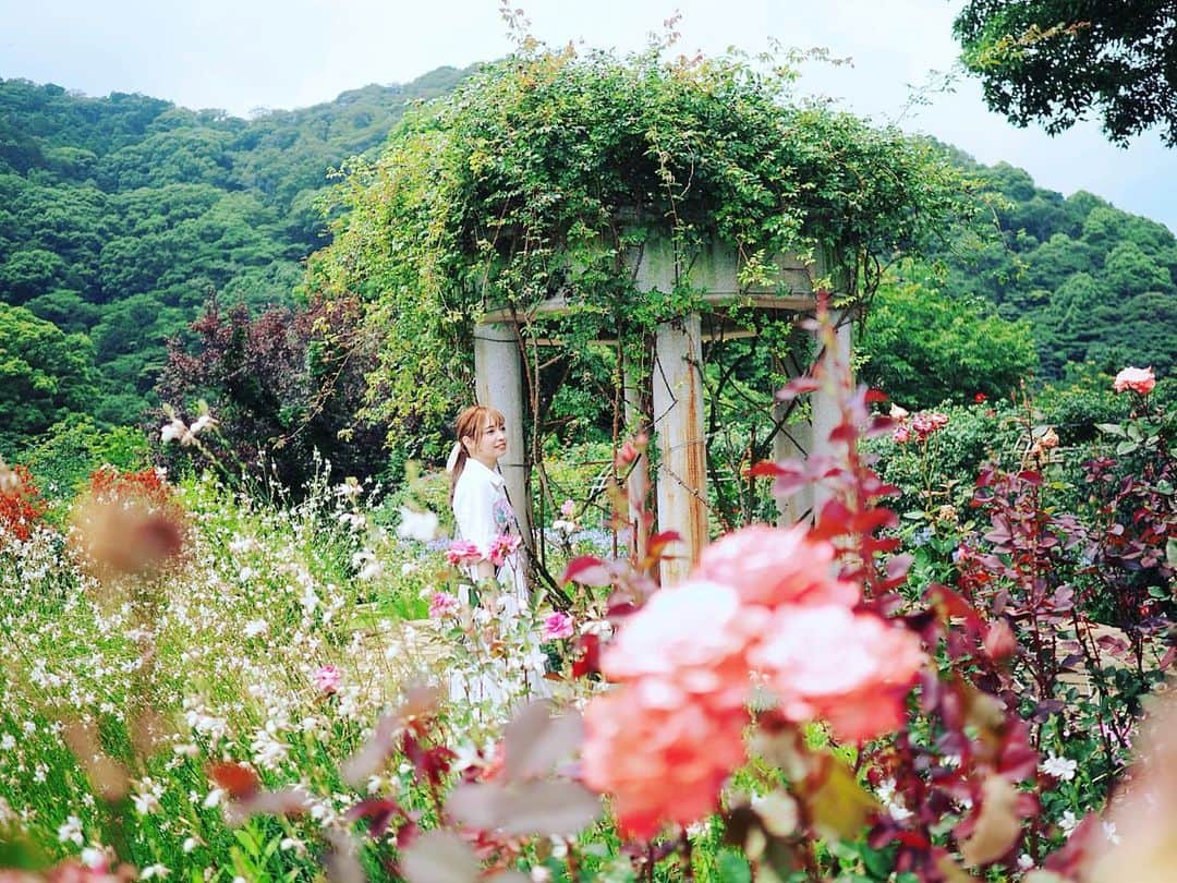 山崎はるかのインスタグラム