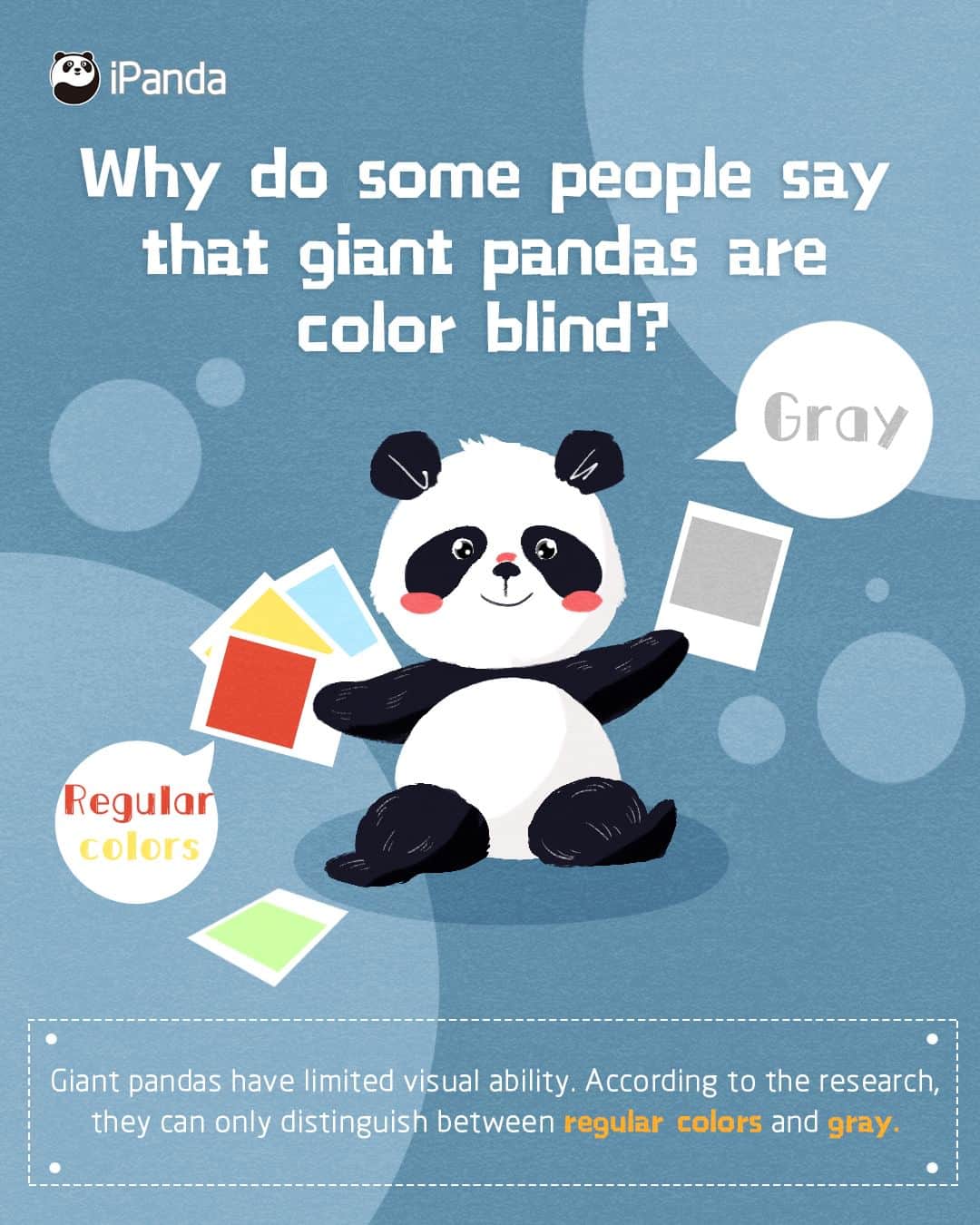 iPandaさんのインスタグラム写真 - (iPandaInstagram)「Q: Why do some people say that ...