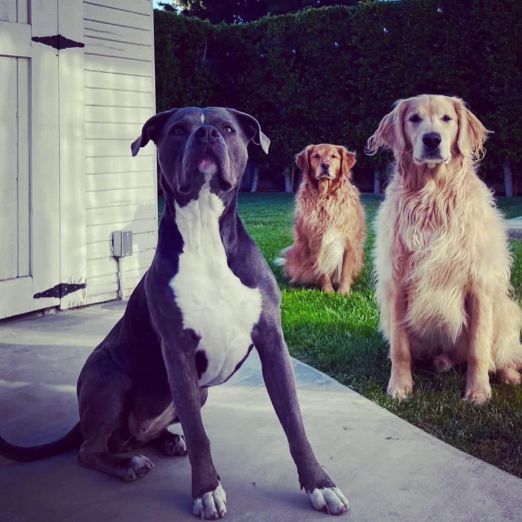 のインスタグラム：「#SquadGoals @paulmichaelrahn  @la_onepaper」