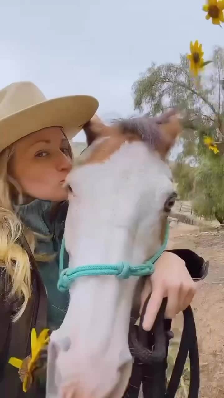 ベス・ベアーズのインスタグラム：「😆 "I'm definitely YOUR best friend "- Belle #rescuehorse」