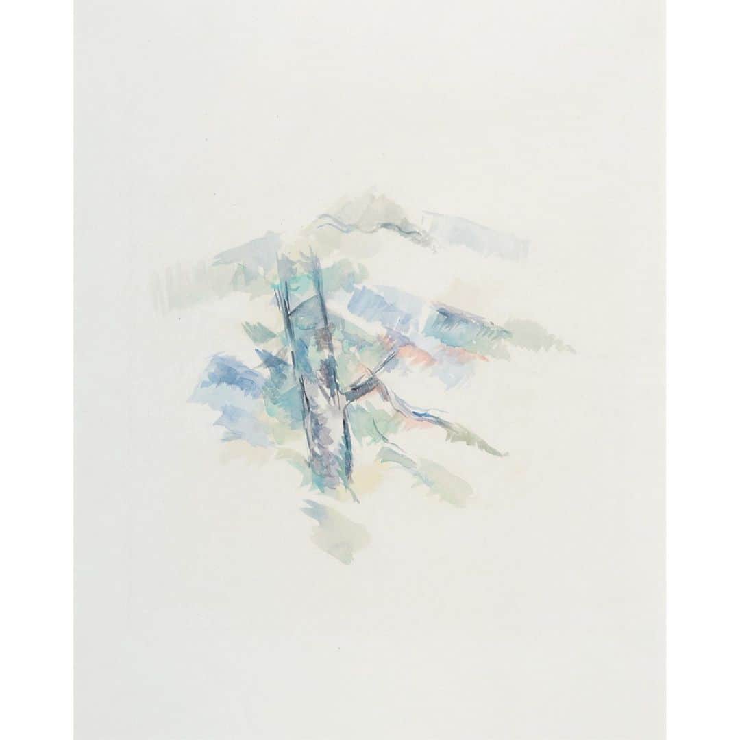 THE ROWのインスタグラム：「Paul Cézanne; ‘Étude d’arbre’, 1885」
