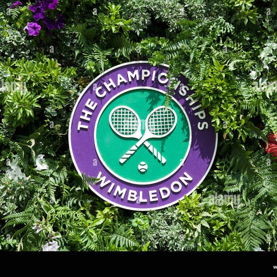 ダビド・ゴフィンのインスタグラム：「Favorite tournament of the year 😍 thank you @wimbledon for giving me the chance to play another year.」