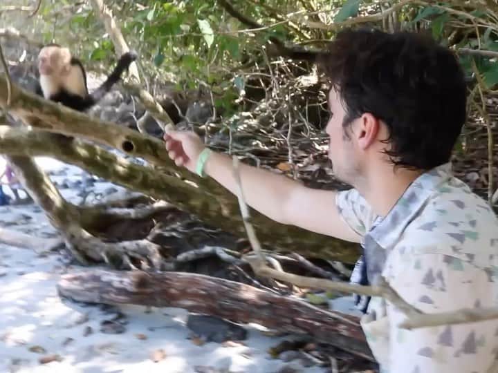 ジョーイ・ブラッグのインスタグラム：「Pura Vida, baby.」