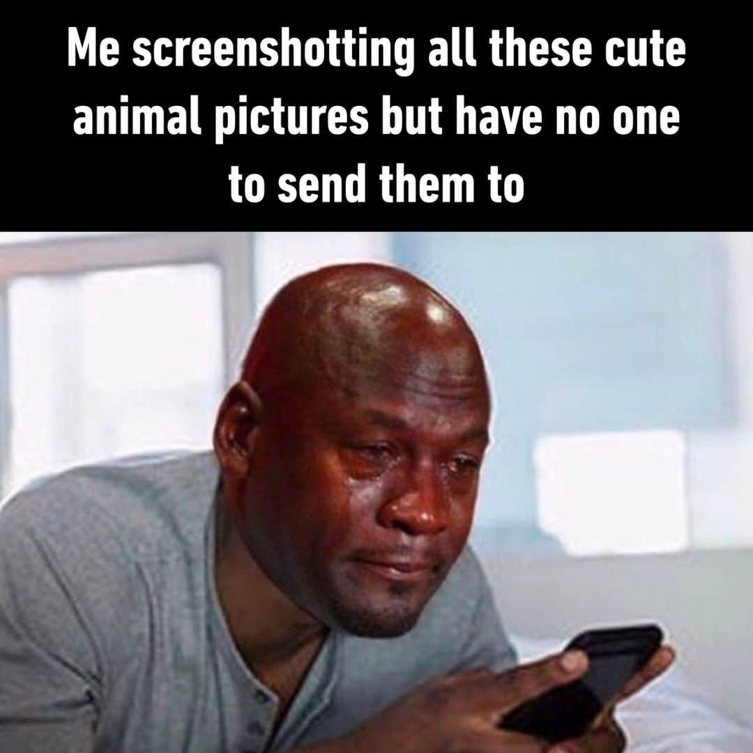 のインスタグラム：「😢 - #cute #animals #cry #memes #9gag」
