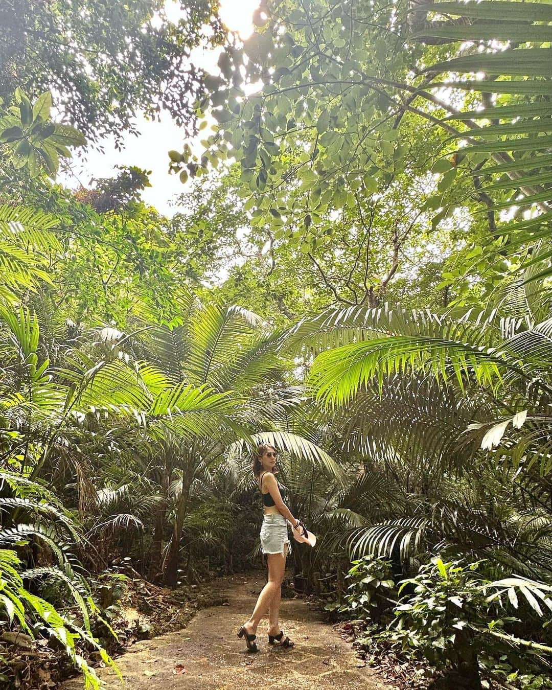 戸崎奈津のインスタグラム：「#ヤエヤマヤシ 🌴  世界でも、八重山諸島の石垣島と西表島にしかない 珍しいヤシがある #米原ヤエヤマヤシ群落 🌴✨ #国指定天然記念物  #石垣島 #沖縄 #石垣島観光 #okinawa #ishigaki #ishigakiisland」