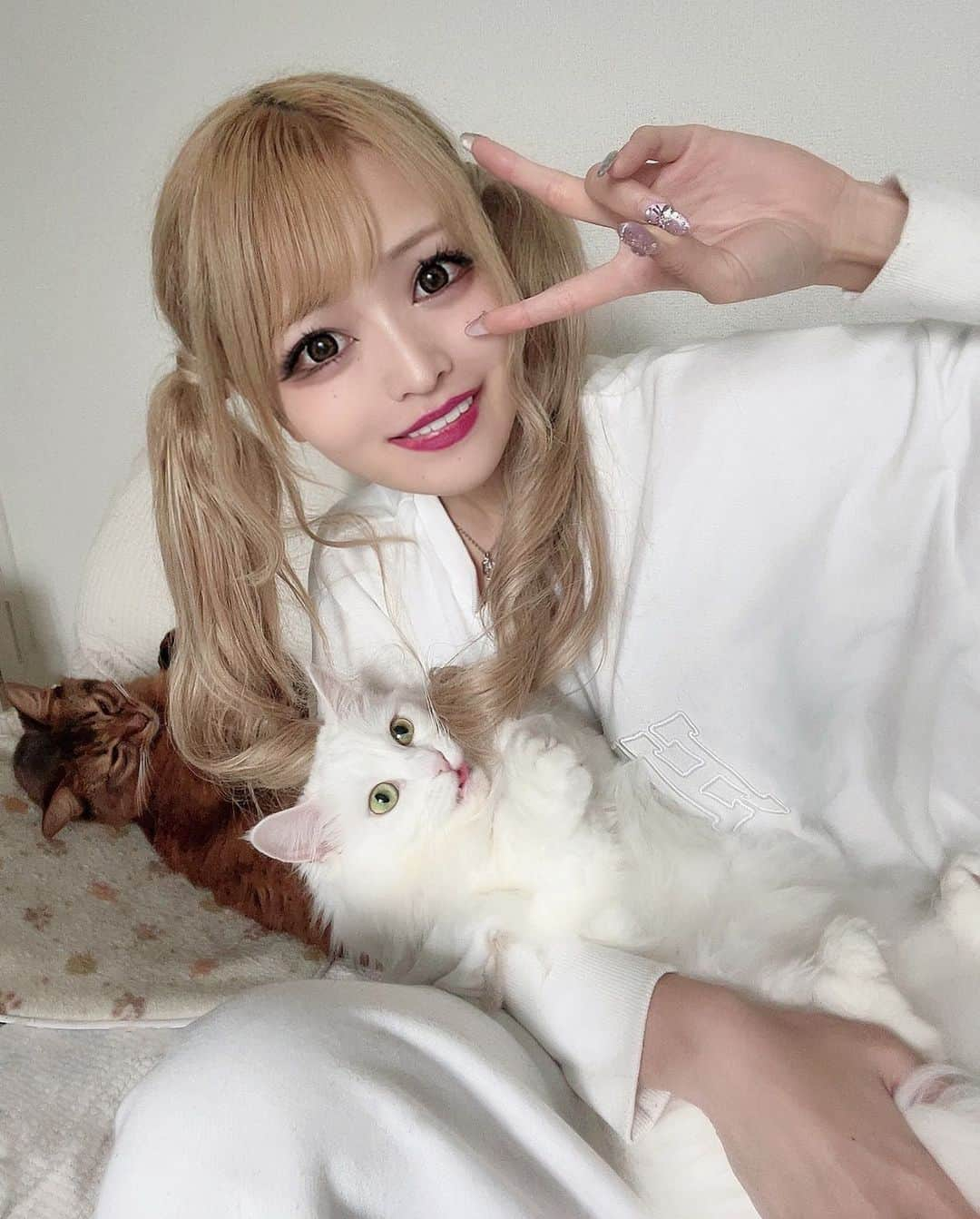 ミランさんのインスタグラム写真 - (ミランInstagram)「久しぶりの家族写真ｗ🐈👧🐈🌈🌈  ・  ひなちゃんはいつも私の髪の毛を噛んでくる😣🎀 後ろのそうたくんはおネム😴 ((※潰してませんｗｗｗｗ))  ・  ・  ・  #猫すたぐらむ  #ねこにすと #マンチカン #ソマリ #ホワイトマンチカン #ソマリルディ  #ねこ #猫もふ団」6月3日 12時22分 - milan_partyon