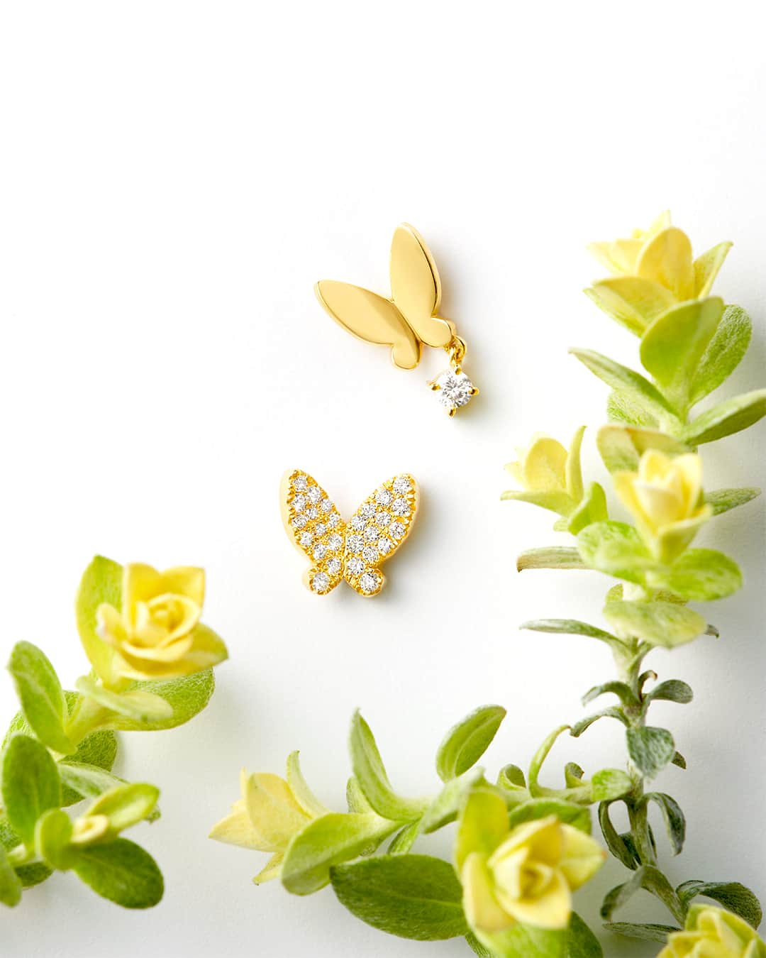 アーカーさんのインスタグラム写真 - (アーカーInstagram)「. 「papillon brillant」 ダイヤモンドとイエローゴールドの煌めきを纏い、自由に羽ばたくパピヨン 　 #AHKAH #jewelry #2023ss #earrings #present #アーカー #ジュエリー #ピアス #プレゼント」6月3日 13時00分 - ahkah_official