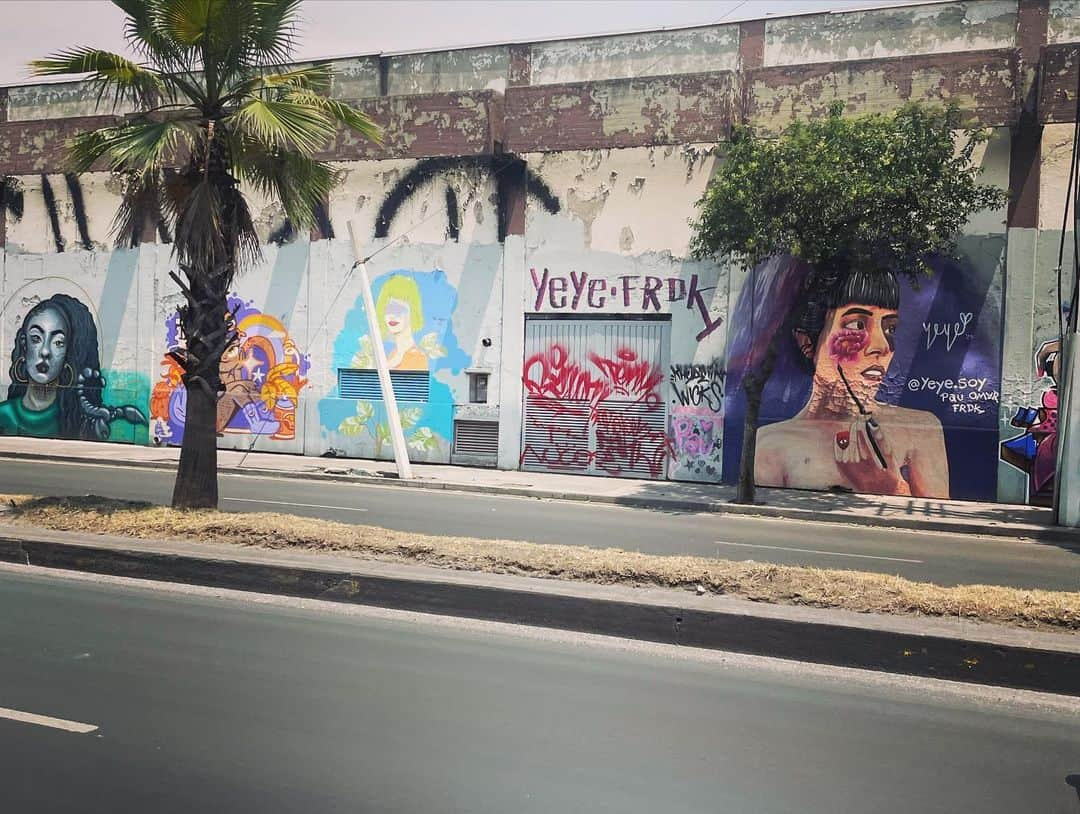 石毛翔弥さんのインスタグラム写真 - (石毛翔弥Instagram)「メキシコ 市街 壁絵  まだまだ生憎の天気ですが、 穏やかな1日に。  ひと通り投稿したので、 あと１〜２回でひとまず終わります。  #メキシコ #旅 #旅行 #観光 #ドライブ #壁絵 #壁絵アート #ウォールアート」6月3日 13時03分 - syoya_ishige