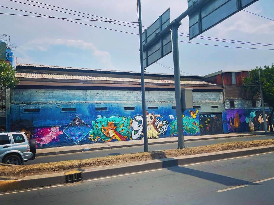 石毛翔弥さんのインスタグラム写真 - (石毛翔弥Instagram)「メキシコ 市街 壁絵  まだまだ生憎の天気ですが、 穏やかな1日に。  ひと通り投稿したので、 あと１〜２回でひとまず終わります。  #メキシコ #旅 #旅行 #観光 #ドライブ #壁絵 #壁絵アート #ウォールアート」6月3日 13時03分 - syoya_ishige