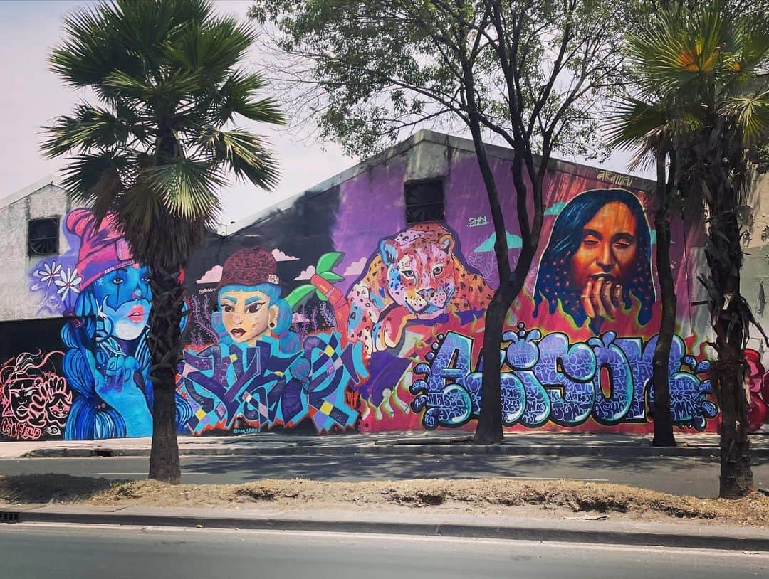 石毛翔弥のインスタグラム：「メキシコ 市街 壁絵  まだまだ生憎の天気ですが、 穏やかな1日に。  ひと通り投稿したので、 あと１〜２回でひとまず終わります。  #メキシコ #旅 #旅行 #観光 #ドライブ #壁絵 #壁絵アート #ウォールアート」
