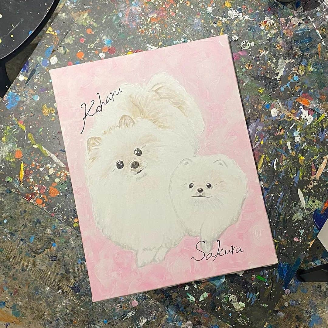 松崎莉沙さんのインスタグラム写真 - (松崎莉沙Instagram)「・ 友と愛犬を描きに🎨  と言っても インストラクターの方が下書きしてくれるので 色を塗るだけ！！！  早速お家に飾っていますが こはるとさくらがそこにいるみたいで 非常〜〜〜〜〜に幸せです🐶🌸🐶  📍artbar Yokohama Motomachi 🎨  #artbar #artbaryokohamamotomachi  #yokohama #japan #art #bar #picture #painting #pet #pomeranian #artwork #mypainting #petpainting #絵画 #アクリル絵の具 #ペインティング #ペット #肖像画 #横浜」6月3日 13時13分 - risadegozaimasu