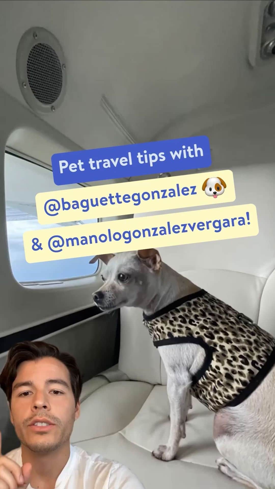 Wal-Mart Stores, Incのインスタグラム：「Heading on a vacay with your four-legged travel buddy this summer? 🐶 @manologonzalezvergara & @baguettegonzalez are here with some tips for ya! #SummerTravel #PetTravelTips」