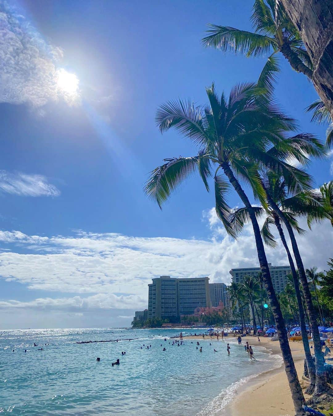 Aloha Street アロハストリートさんのインスタグラム写真 - (Aloha Street アロハストリートInstagram)「今週のワイキキビーチの様子をお届け✨  ハワイの海と青空、ヤシの木の組み合わせは何度見ても癒されます☺️🌴  (アカネ)  #アロハストリート #alohastreet  #ワイキキ#Waikiki #ワイキキビーチ #ハワイ旅行 #waikikibeach #ハワイ生活 #ハワイ好きな人と繋がりたい #ハワイ情報 #海のある生活 #海外生活 #海好きな人と繋がりたい #旅行好きな人と繋がりたい #旅行好き #hawaii #hawaiilife #honolulu #honoluluhawaii #hawaiistagram #oahulife #oahuhawaii #oahuphotography」6月3日 8時02分 - alohastreetcom_hawaii