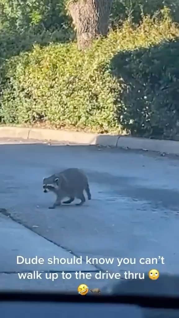 タリブ・クウェリのインスタグラム：「Live footage of @kidvishis trying to get a Dilla beat 😂」