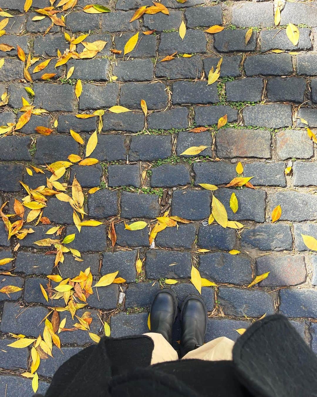 リンダ・モルセッリのインスタグラム：「La mia vita autunnale a Buenos Aires in pillole.  1. Buenos Aires in autunno si dipinge di giallo. Molto giallo. 2. Matrimoni improvvisati a @lajauladelamoda , con @alfonsobenja 🤍 3. Amore e rock n roll  4. Entusiasmo da Film in Baires 🥰🎬  5. Colazione importante. Svegliarsi con la persona preferita al mondo significa questo 🫶🤍 6. Ragù y charlas con la maravillosa @marubotanaok  7. Party . Anche il blu sta bene su tutto alle 2 di notte. 8. Io che preparo Tacos, copiando i piatti degli altri. 9. Pasta alla carbonara ti amo anche in Argentina. 10. Tranquilli, tutto sotto controllo. Io e @alfonsobenja salveremo il mondo.」