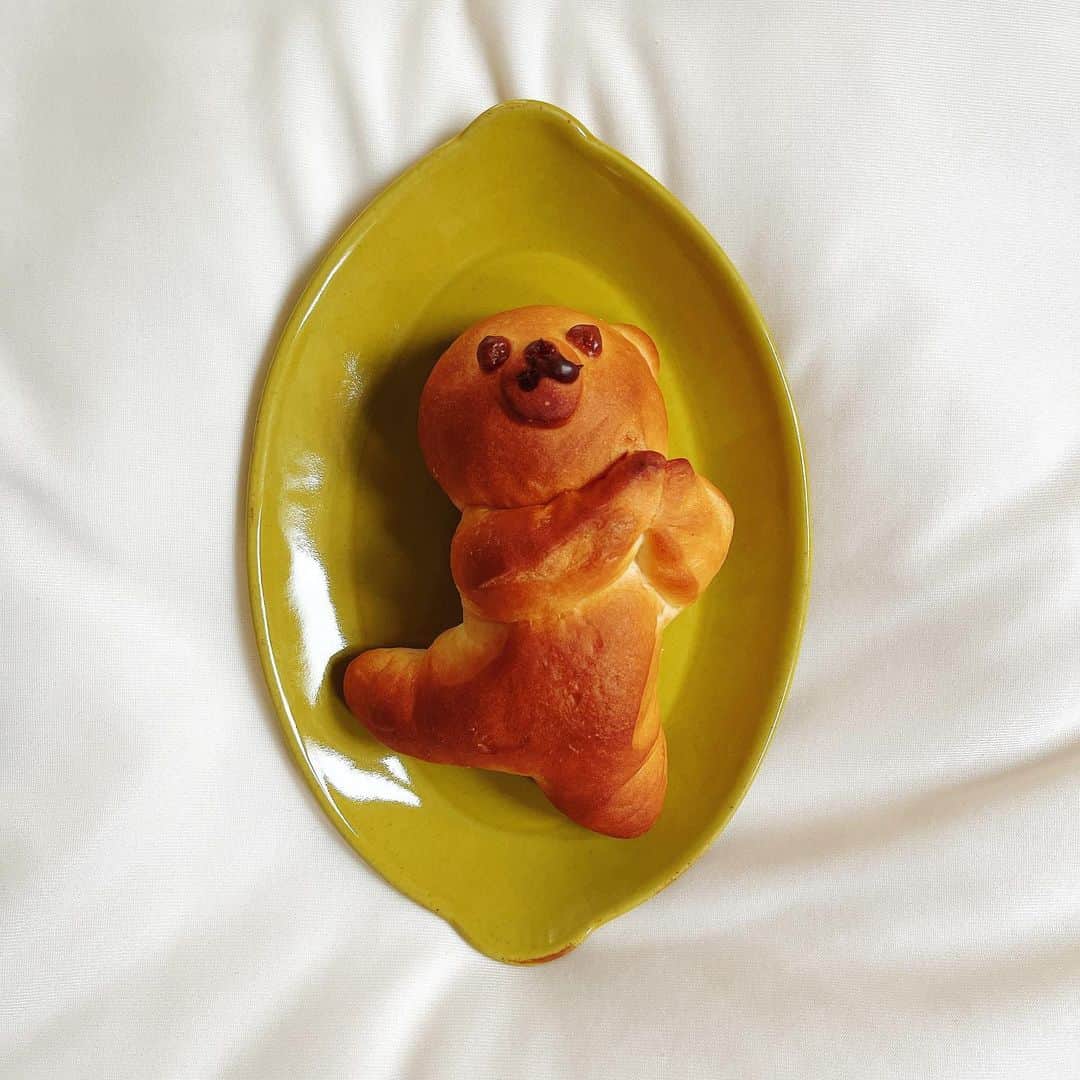 朝見心さんのインスタグラム写真 - (朝見心Instagram)「(∵) ⁡ ⁡ パンがこんなに可愛いことある？ ⁡ ⁡ ⁡ 可愛すぎていっぱい撮った🧸🍞 食べられへん ⁡ ⁡ ⁡ ⁡ ⁡ ⁡ #パン #ぱん #ひらがなのぱん可愛いな ⁡ ⁡」6月3日 10時29分 - asamicocoro